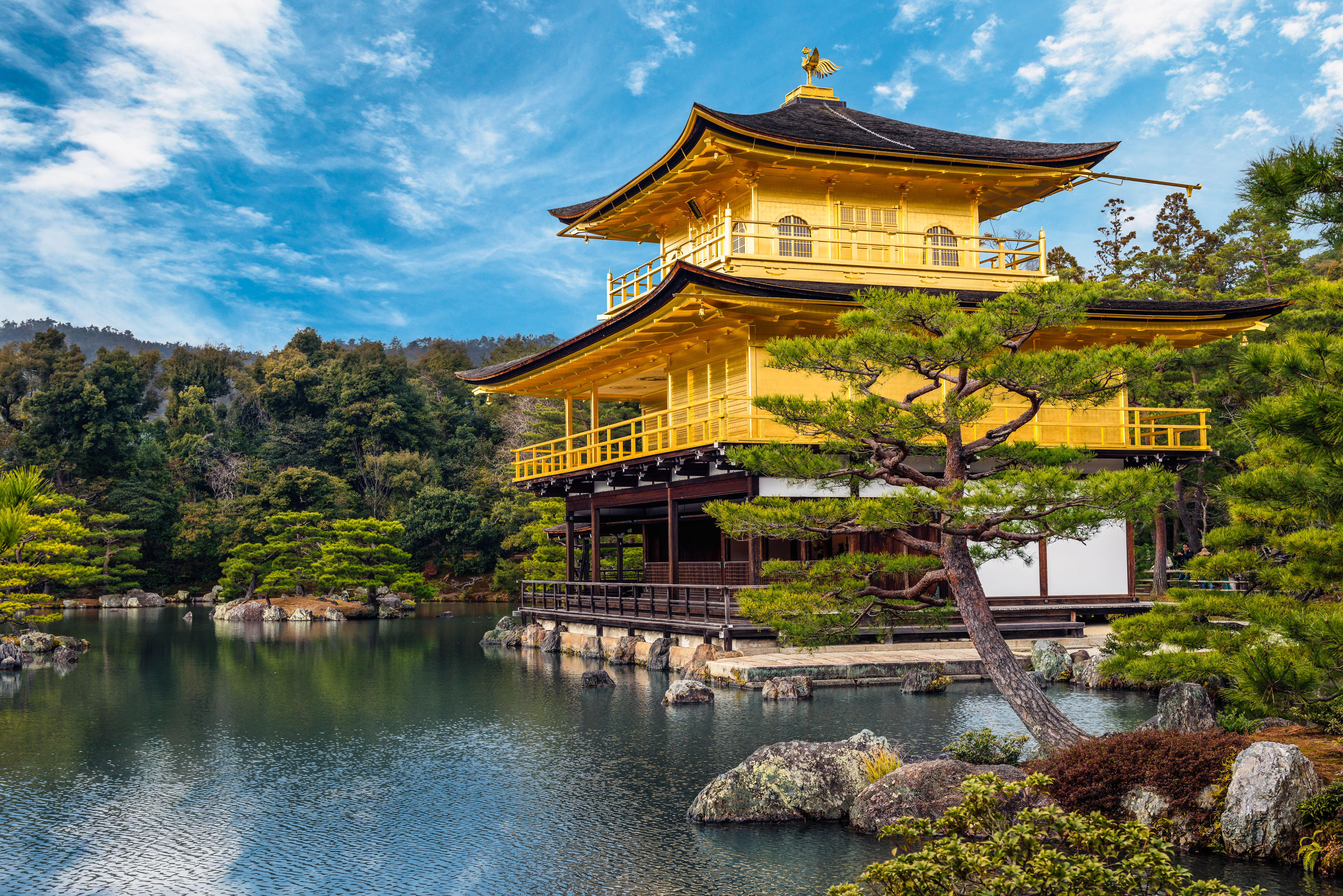 唐紅楓情日本京都賞楓一日遊嵐山金閣寺貴船神社影視取景地打卡大阪