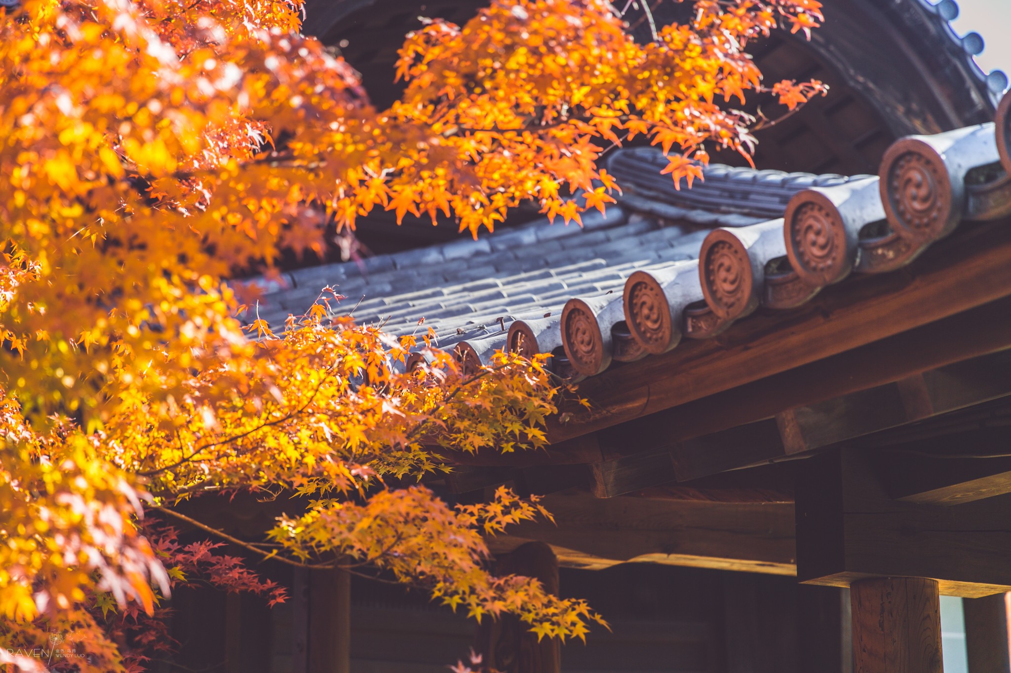 京都自助遊攻略