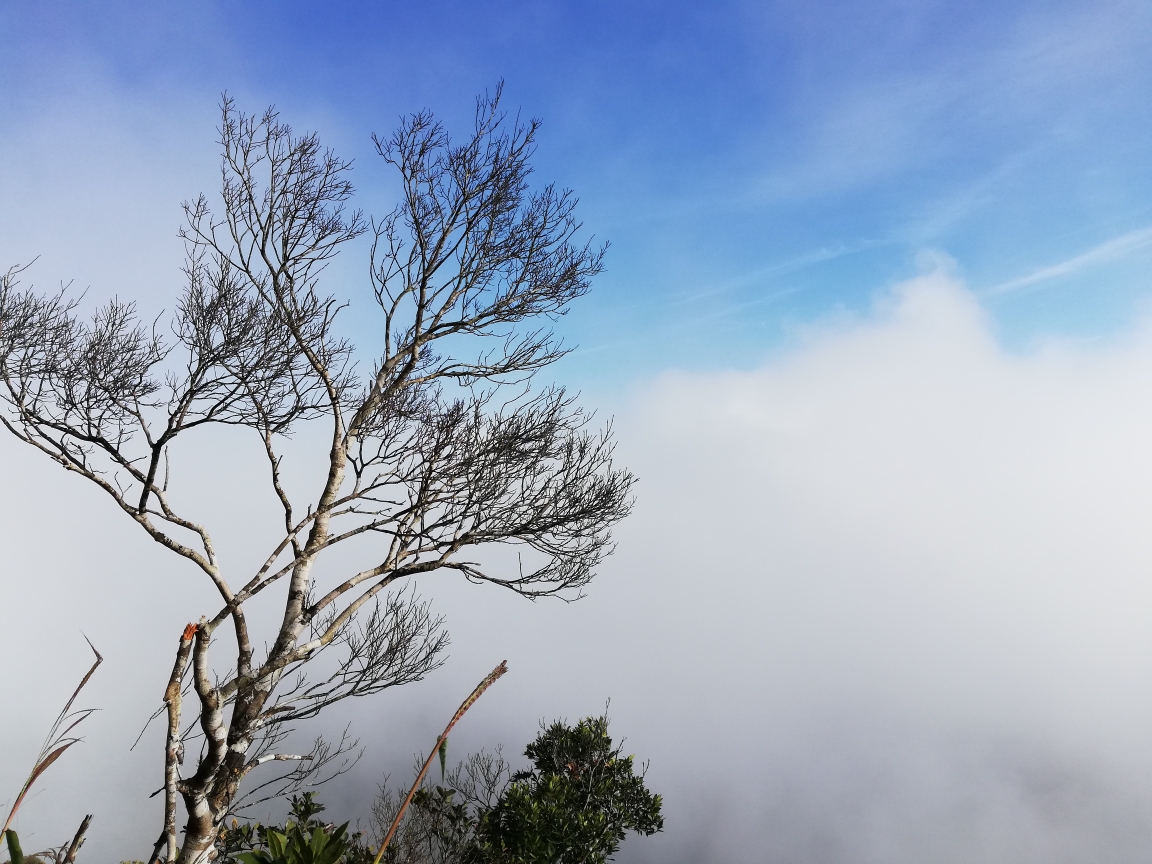 人口的尖峰_尖峰岭(2)