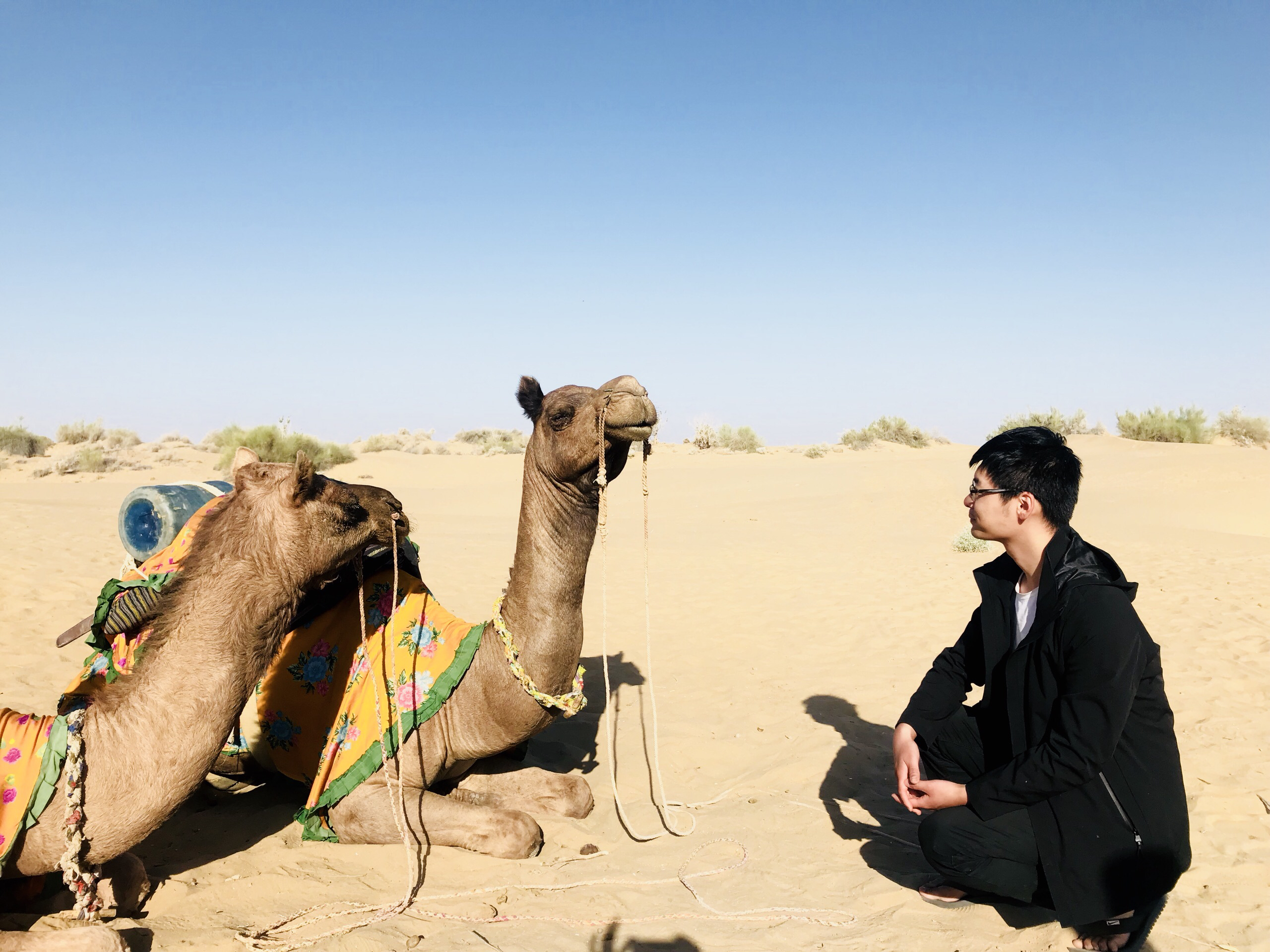 杰伊瑟尔梅尔娱乐-Jaisalmer Camel Safari Day tour