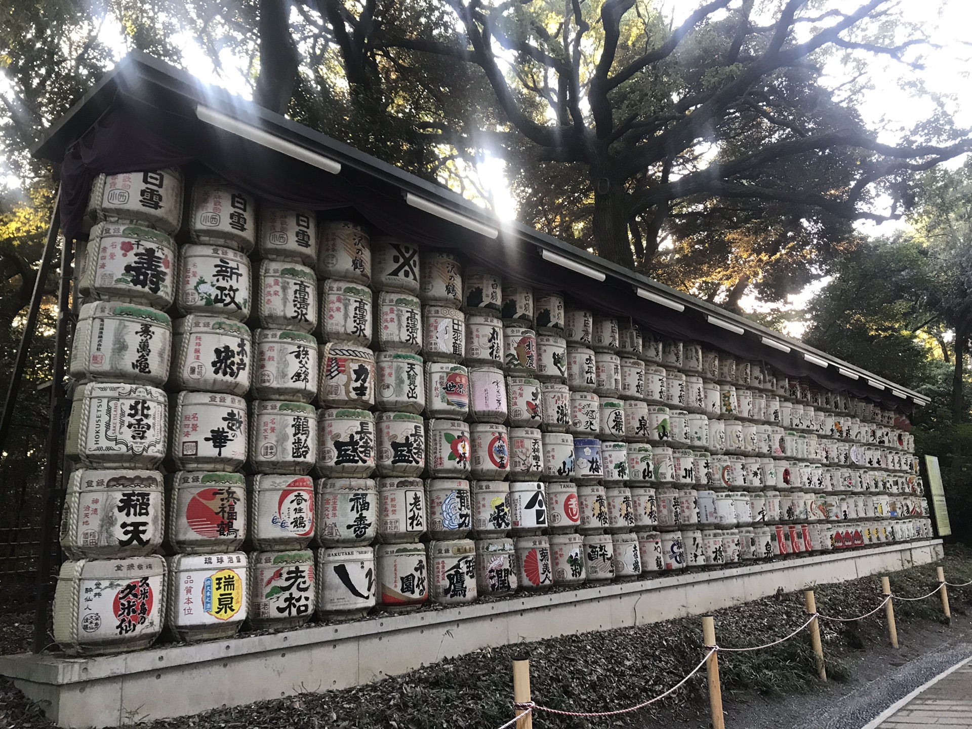 東京自助遊攻略