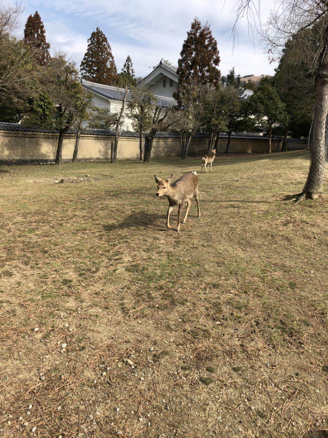 大阪自助遊攻略