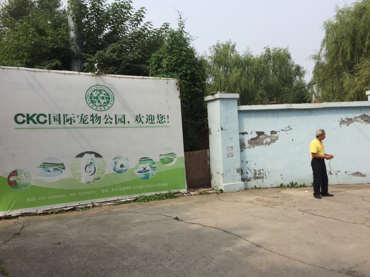 ckc国际宠物公园
