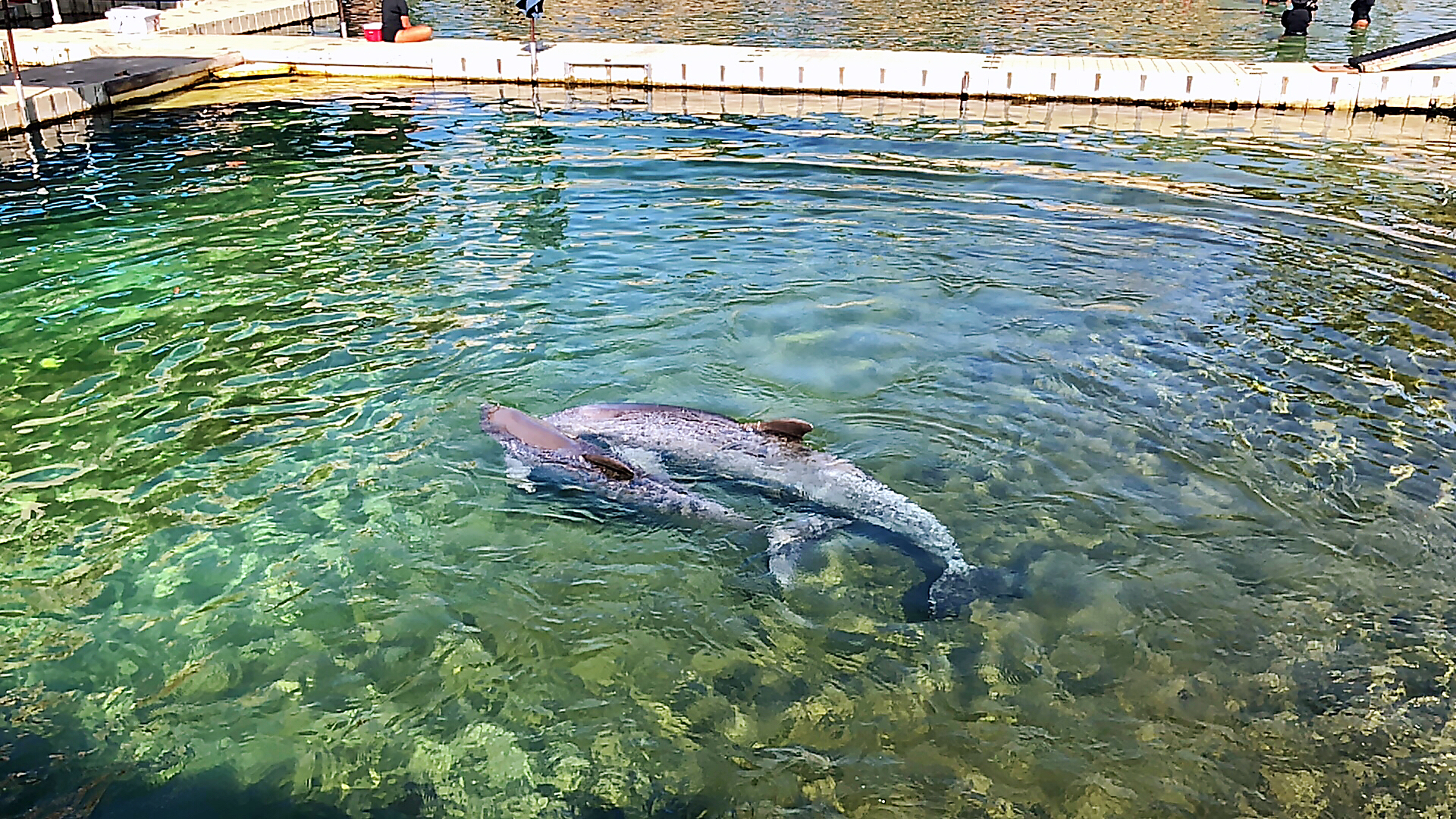 夏威夷自助遊攻略