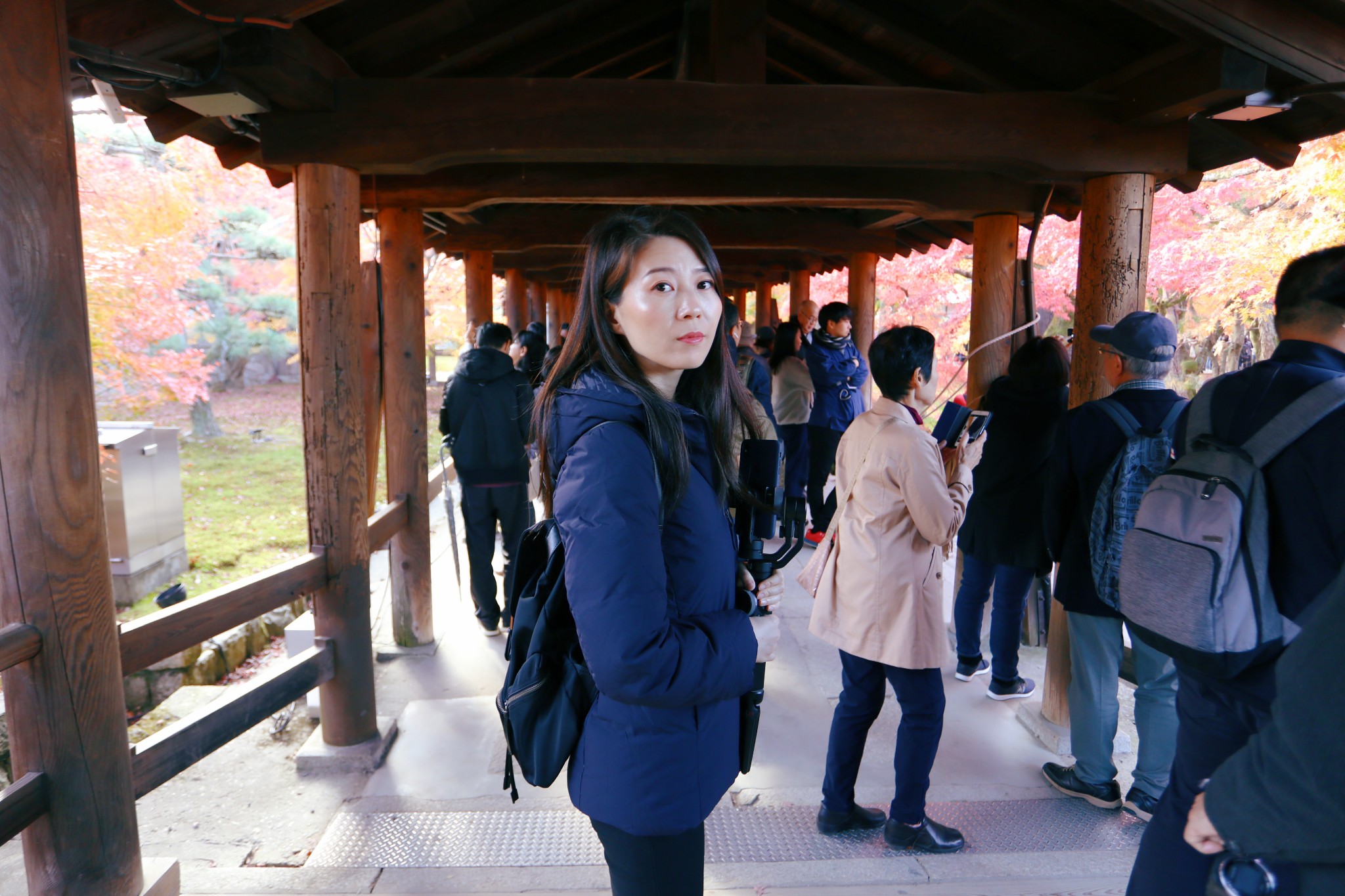 京都自助遊攻略