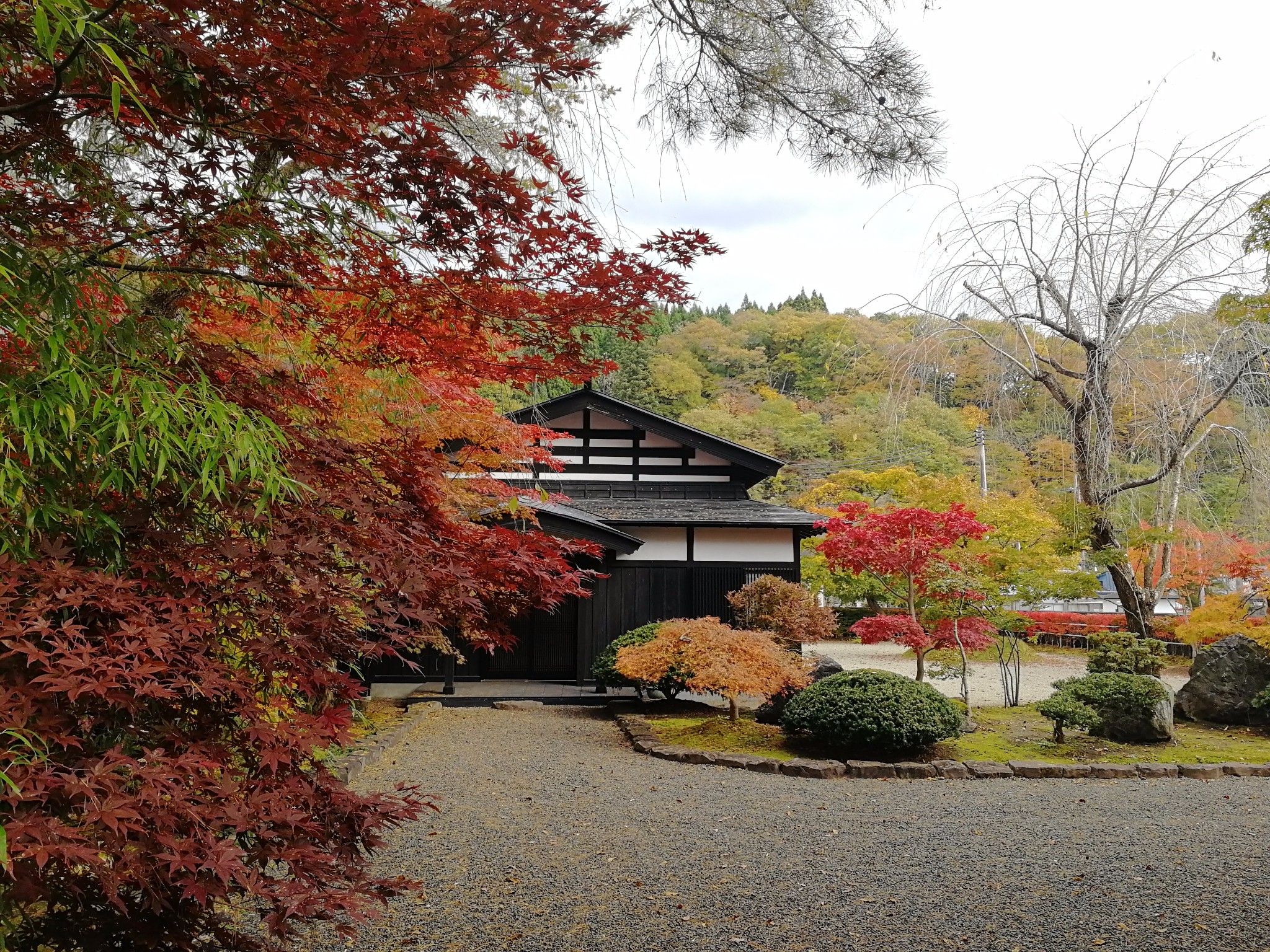 2024秋田市旅游攻略,秋田市自由行攻略,马蜂窝秋田市出游攻略游记 - 