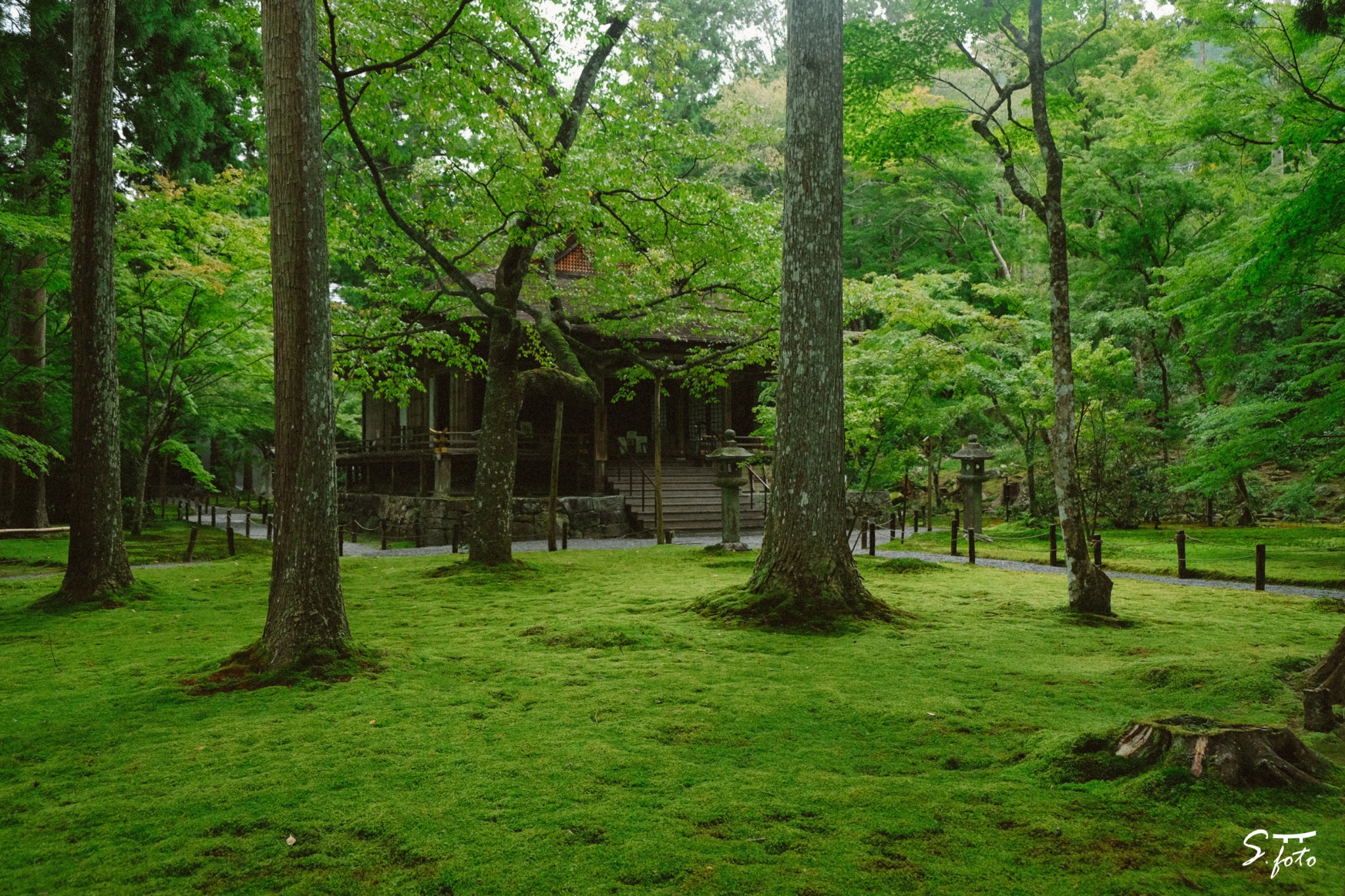 京都自助遊攻略