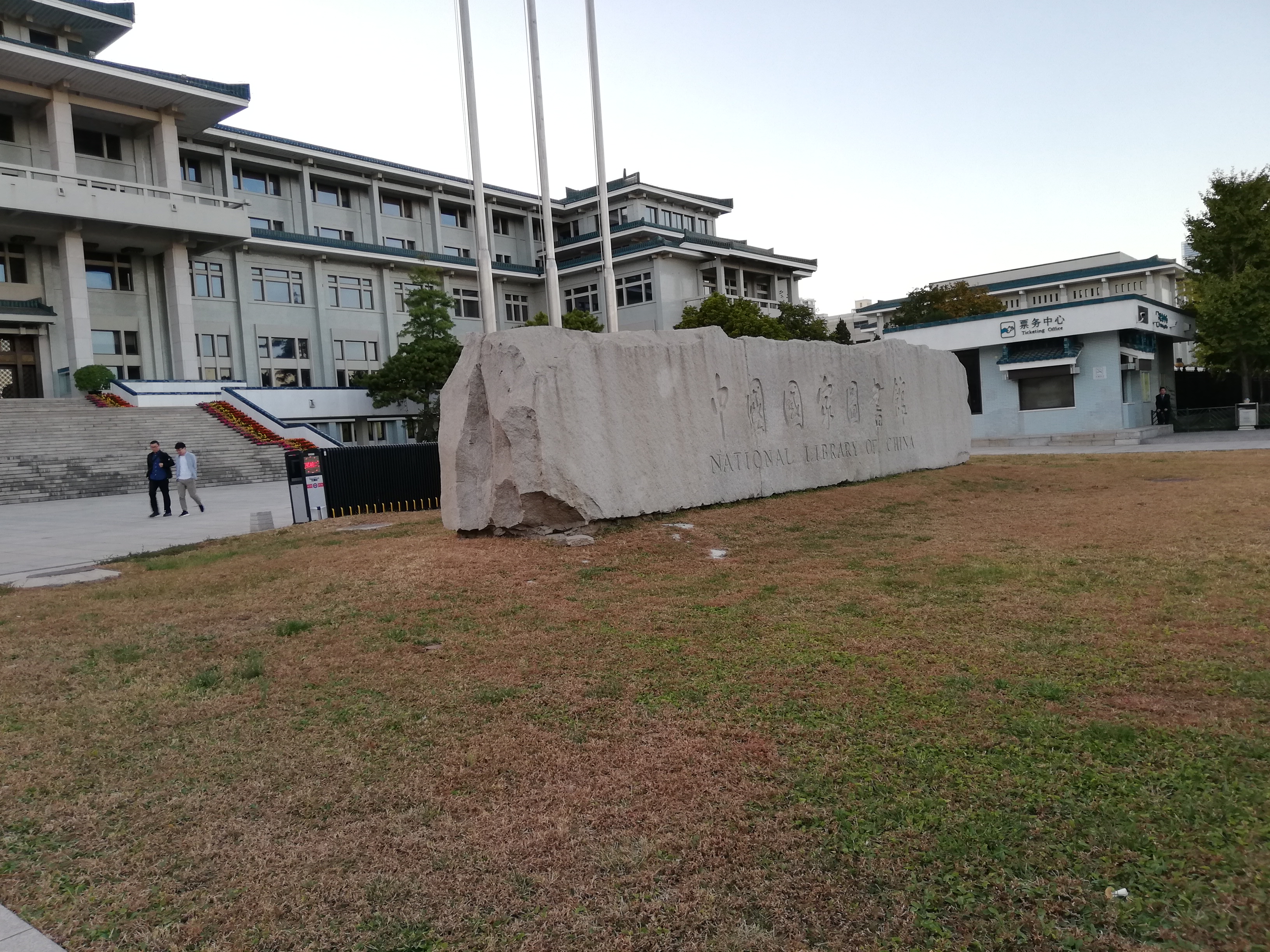 国家图书馆古银杏
