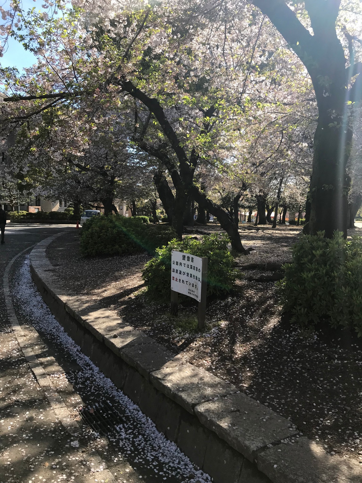 名古屋自助遊攻略