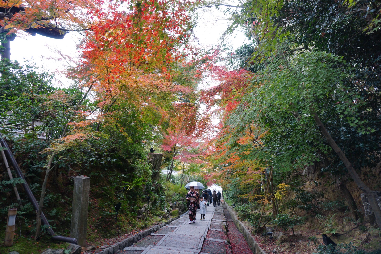 京都自助遊攻略