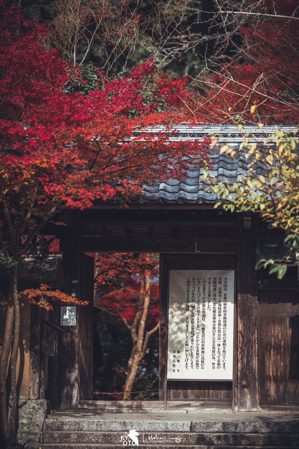 京都自助遊攻略