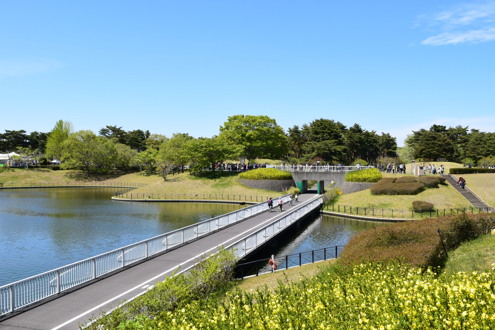 【日立海濱公園】海天間的藍色宇宙,茨城自助遊攻略 - 馬蜂窩