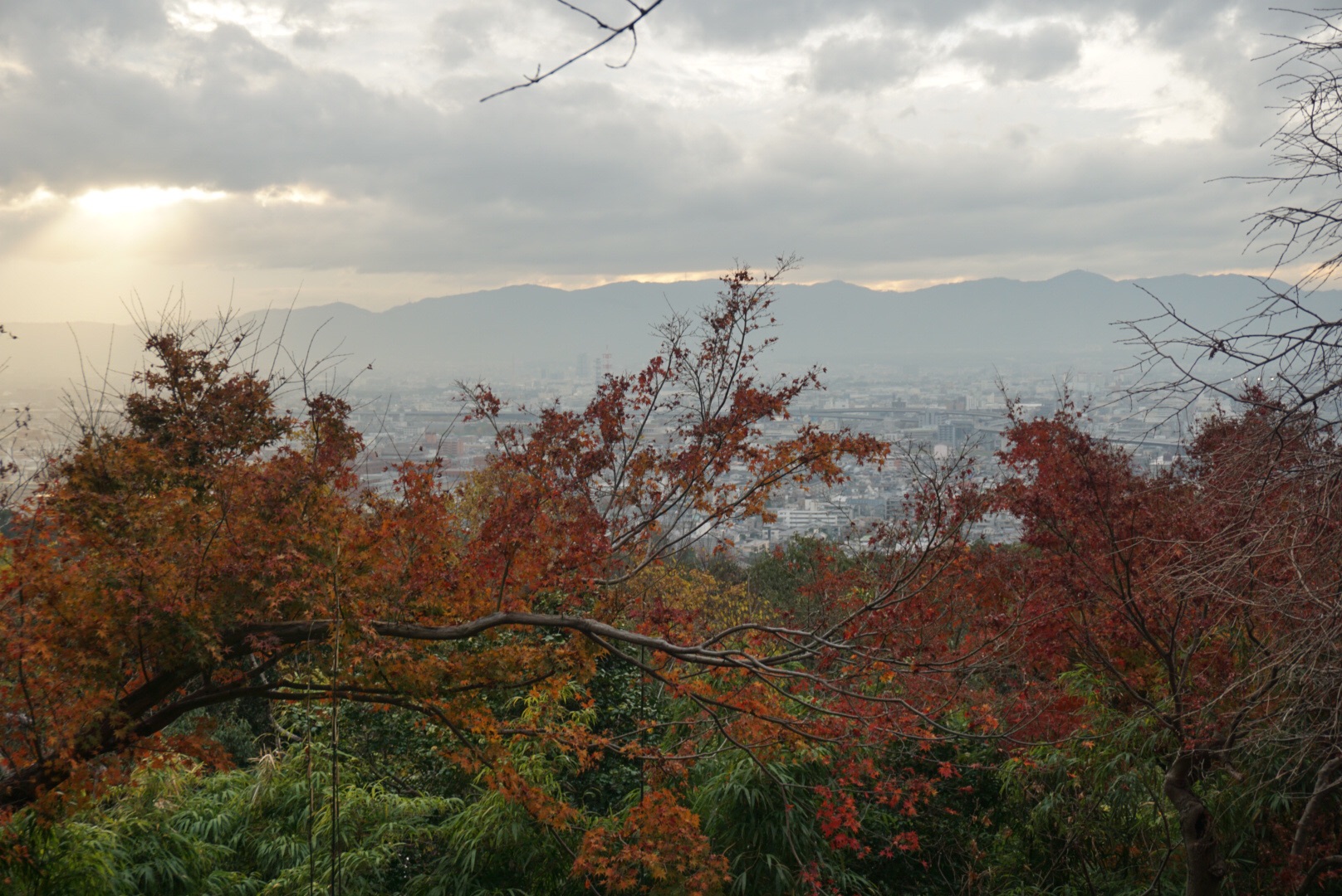 京都自助遊攻略