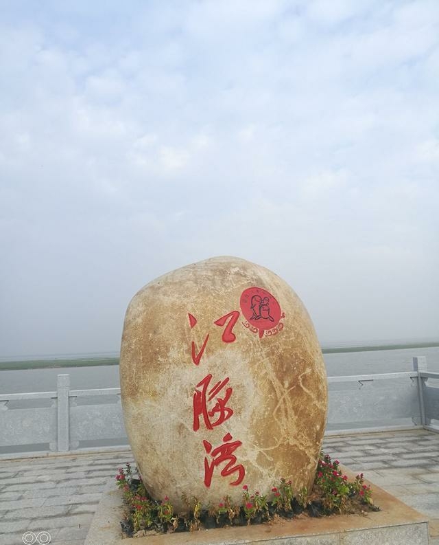 九江吴城鄱阳湖一日游图片