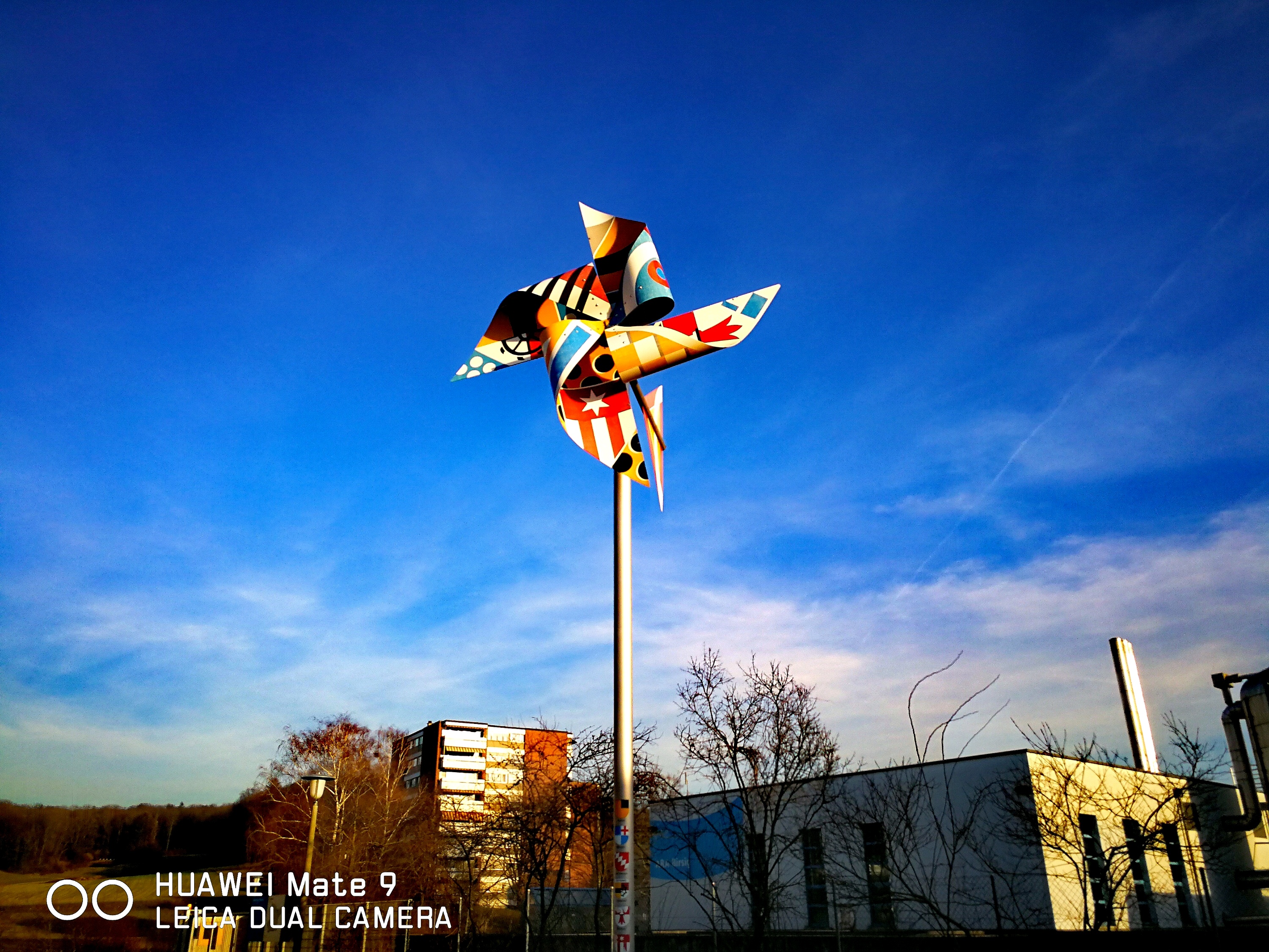 巴塞尔乡村州美食-Mister Wong