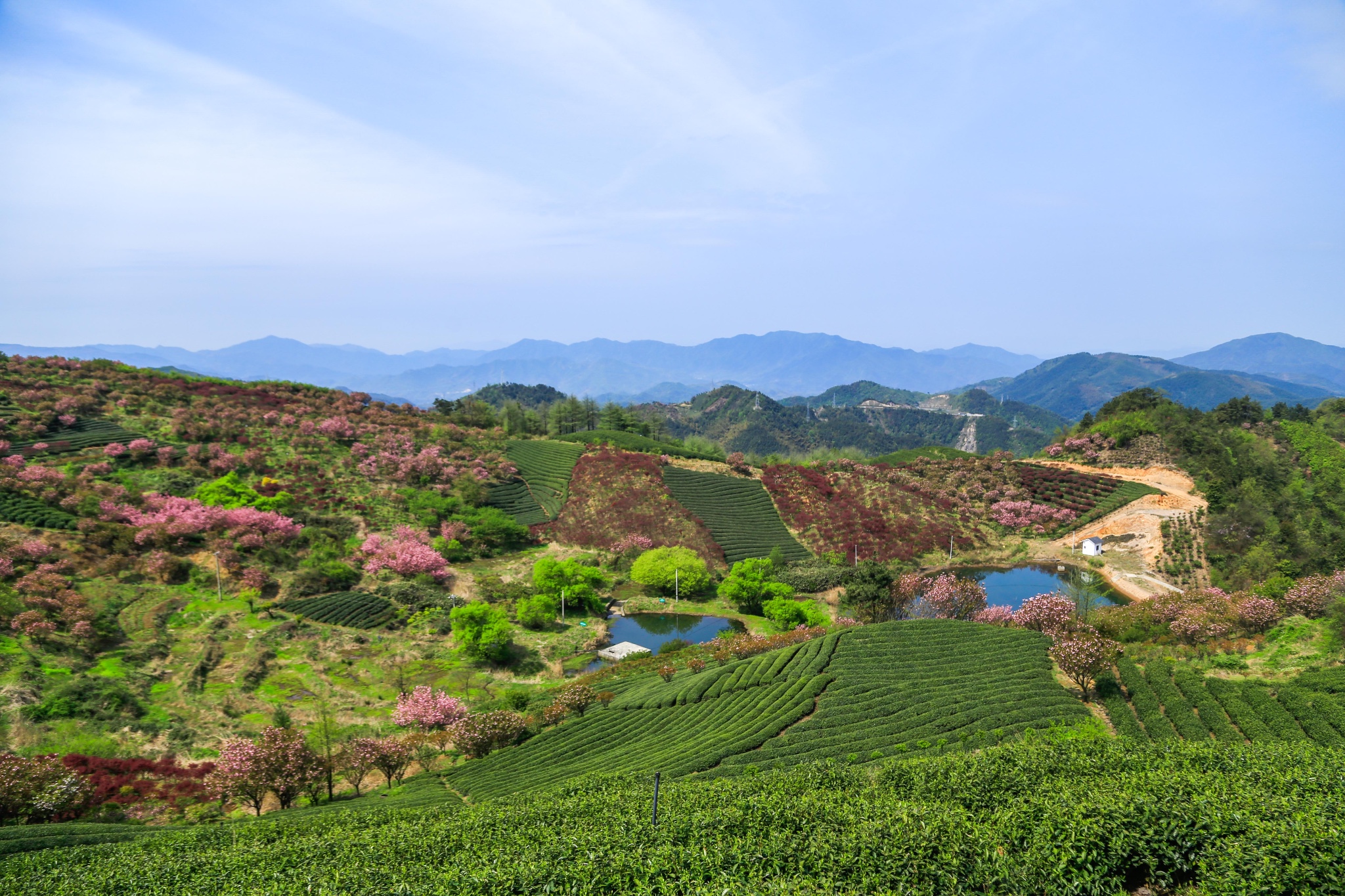 余姚大岚山有哪些景点图片