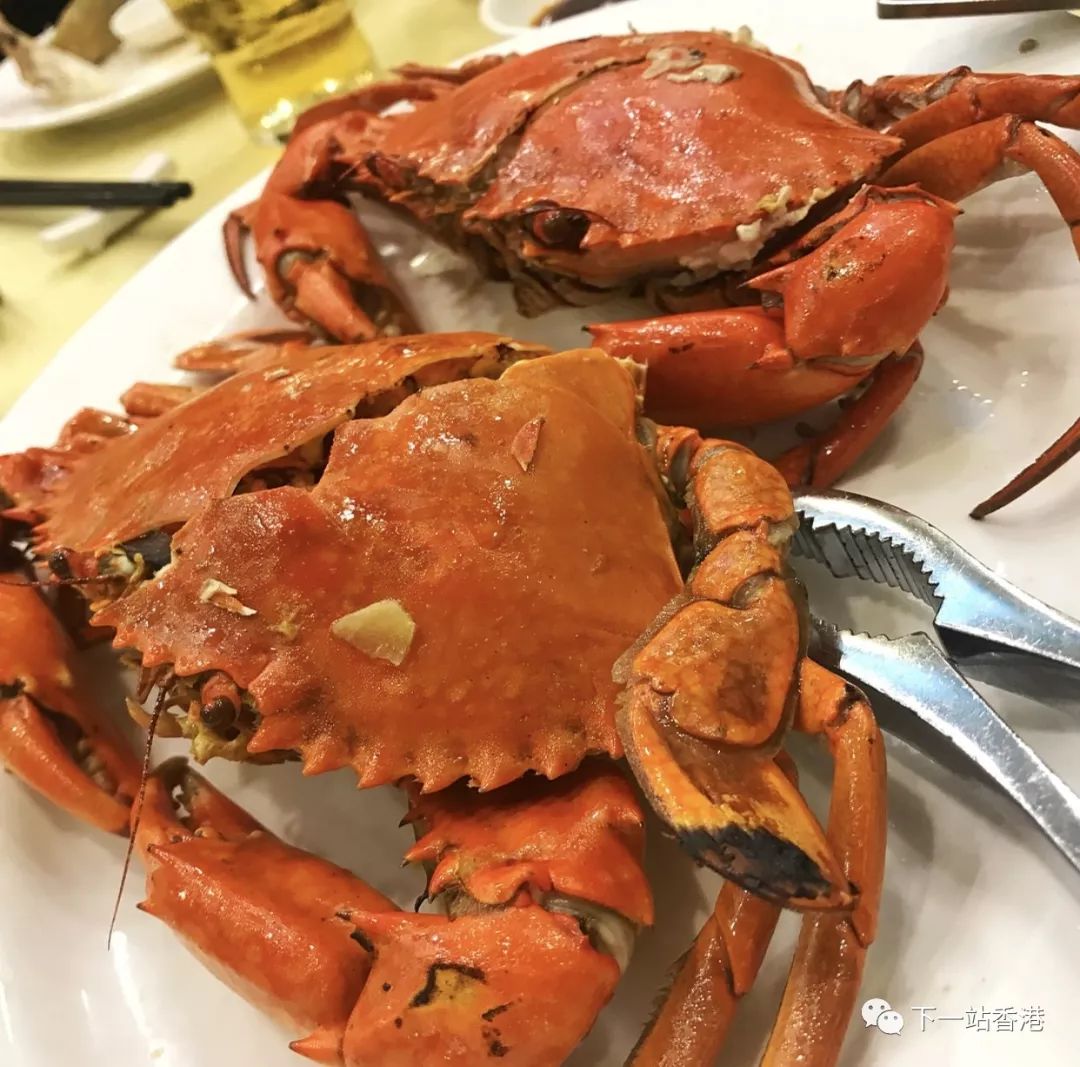 香港吃海鮮最正宗的地方並不是西貢而是