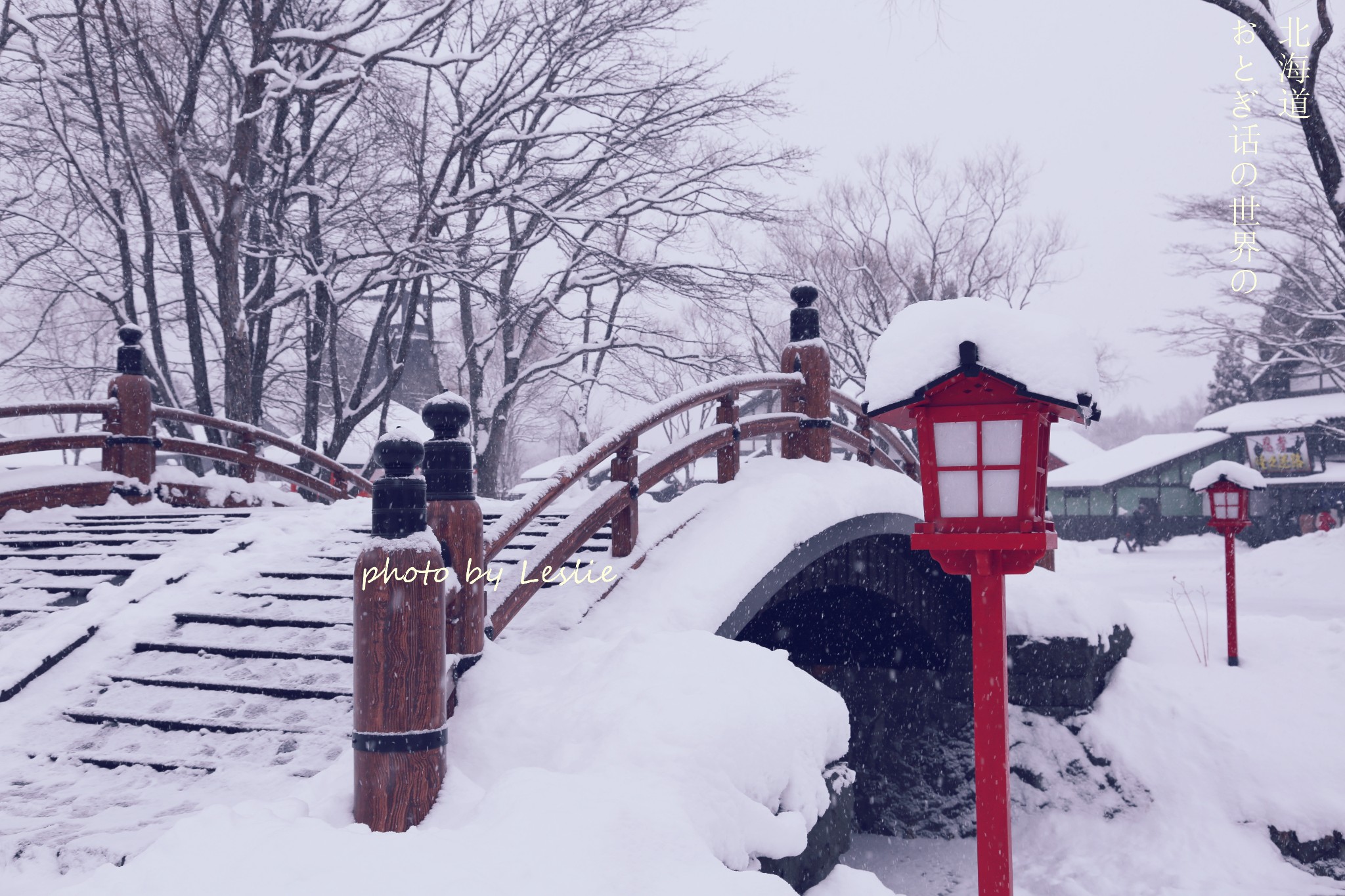 北海道自助遊攻略