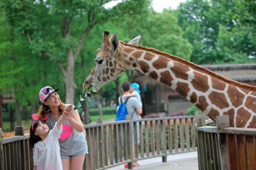 五龍山品質二日遊洛陽牡丹野生動物園住宿四星酒店