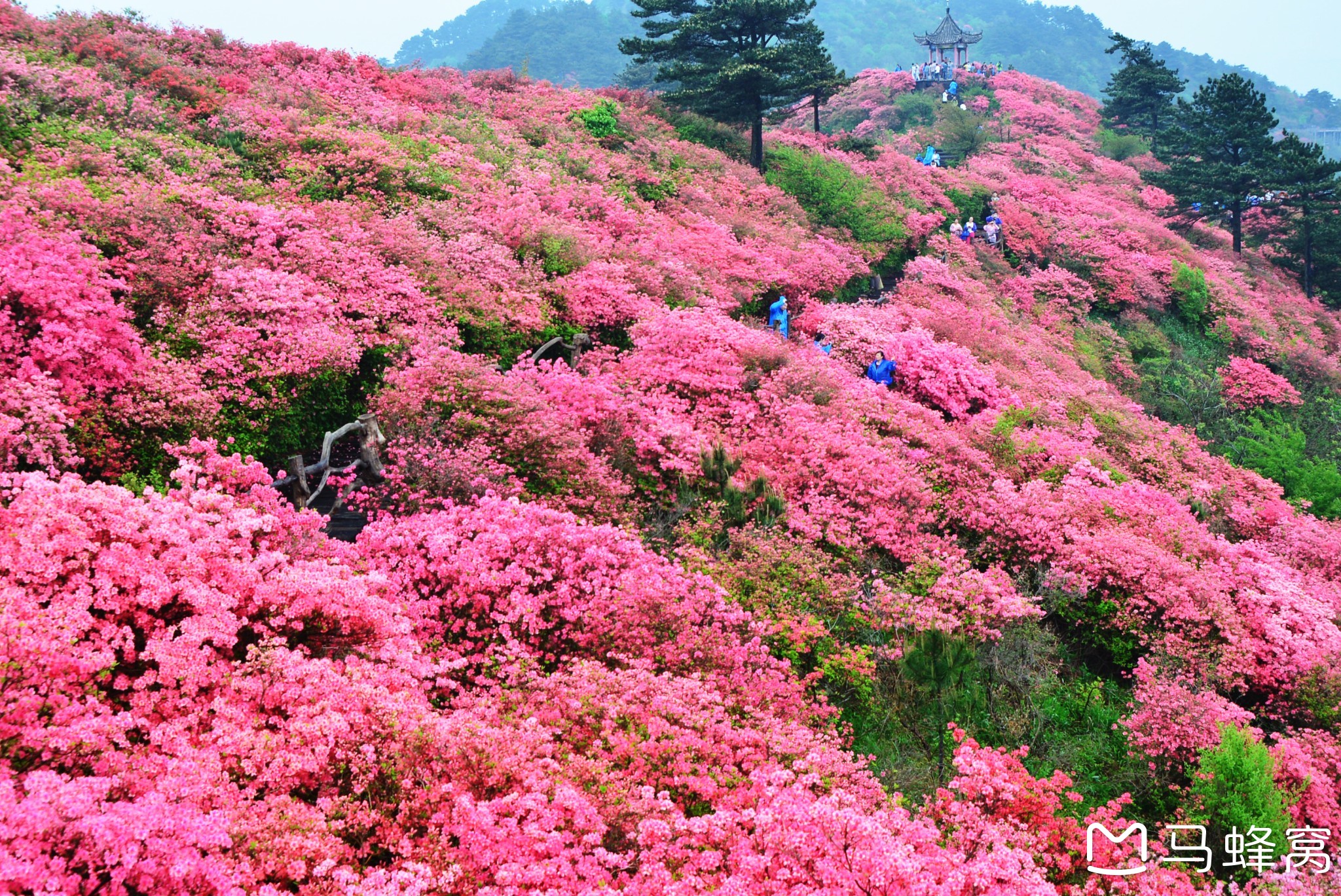 麻城龟峰山,出行经验谈--游记攻略_游记