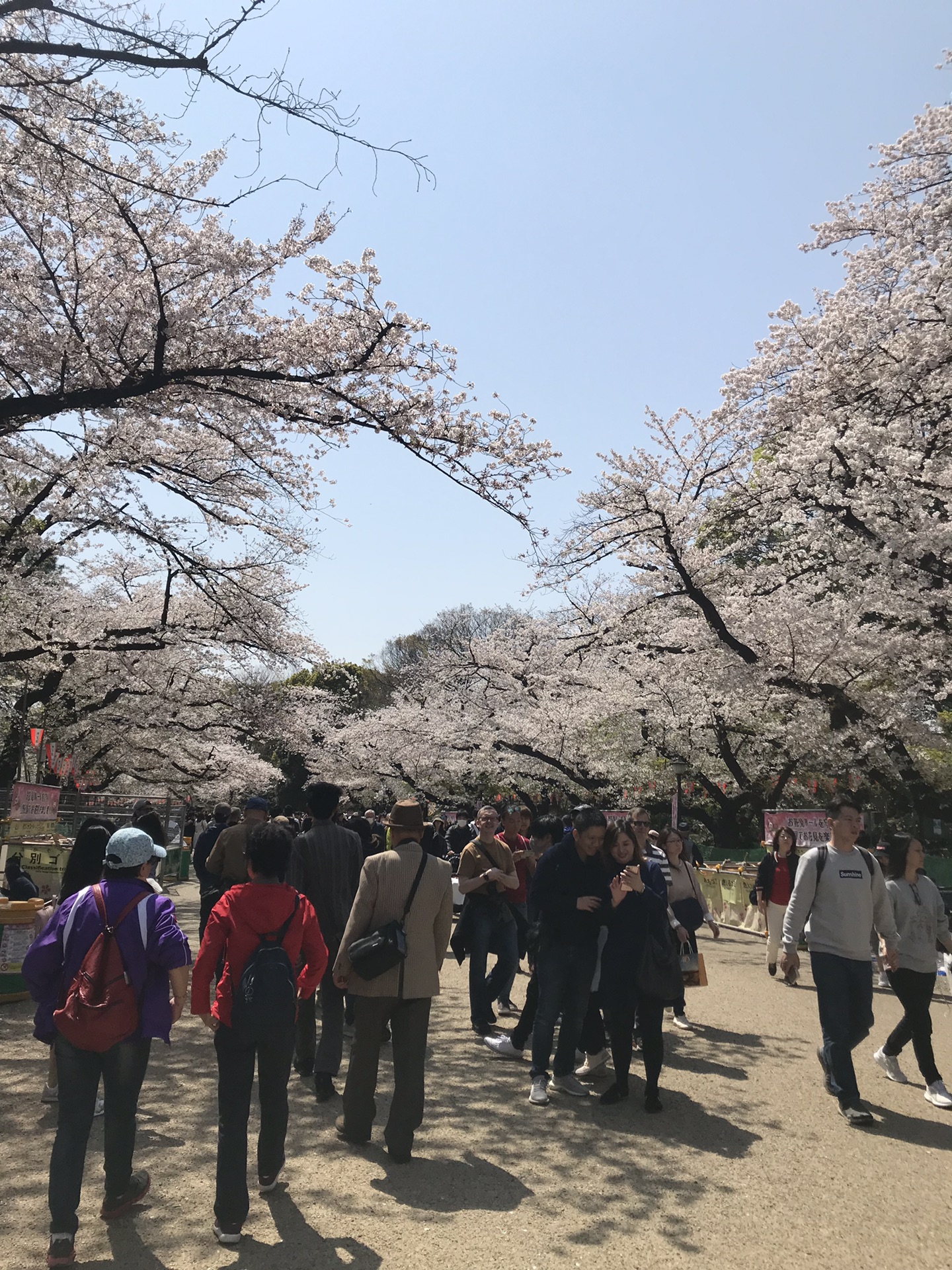 東京自助遊攻略