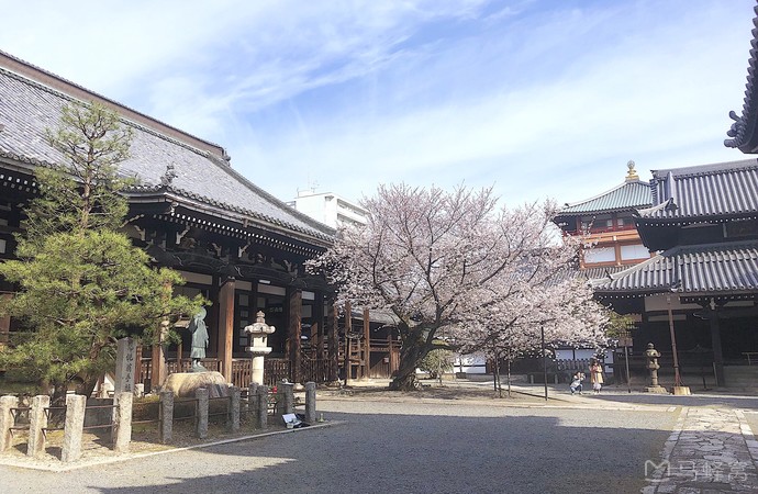 本法寺旅游图片,本法寺自助游图片,本法寺旅游景点照片 - 马蜂窝图库