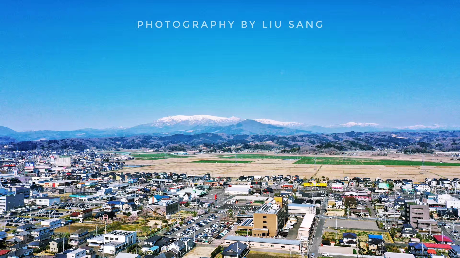 记一次在日本宫城县首府仙台赏樱的奇幻之旅!