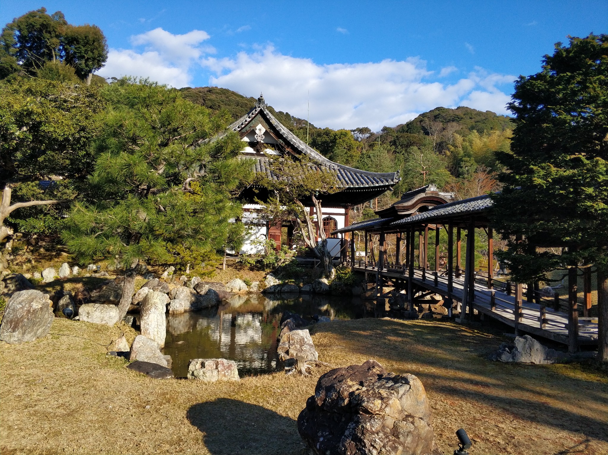 京都自助遊攻略