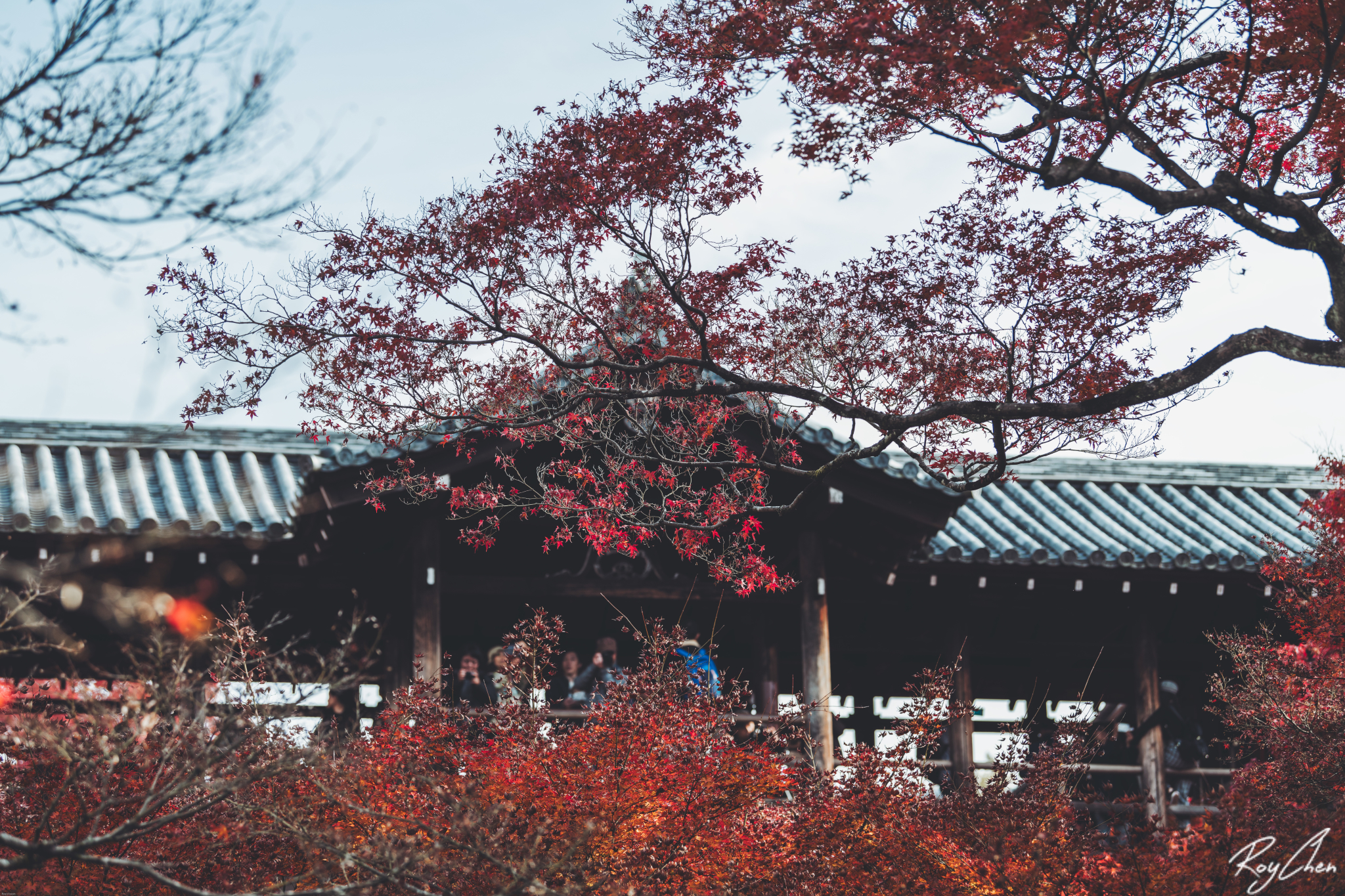 京都自助遊攻略