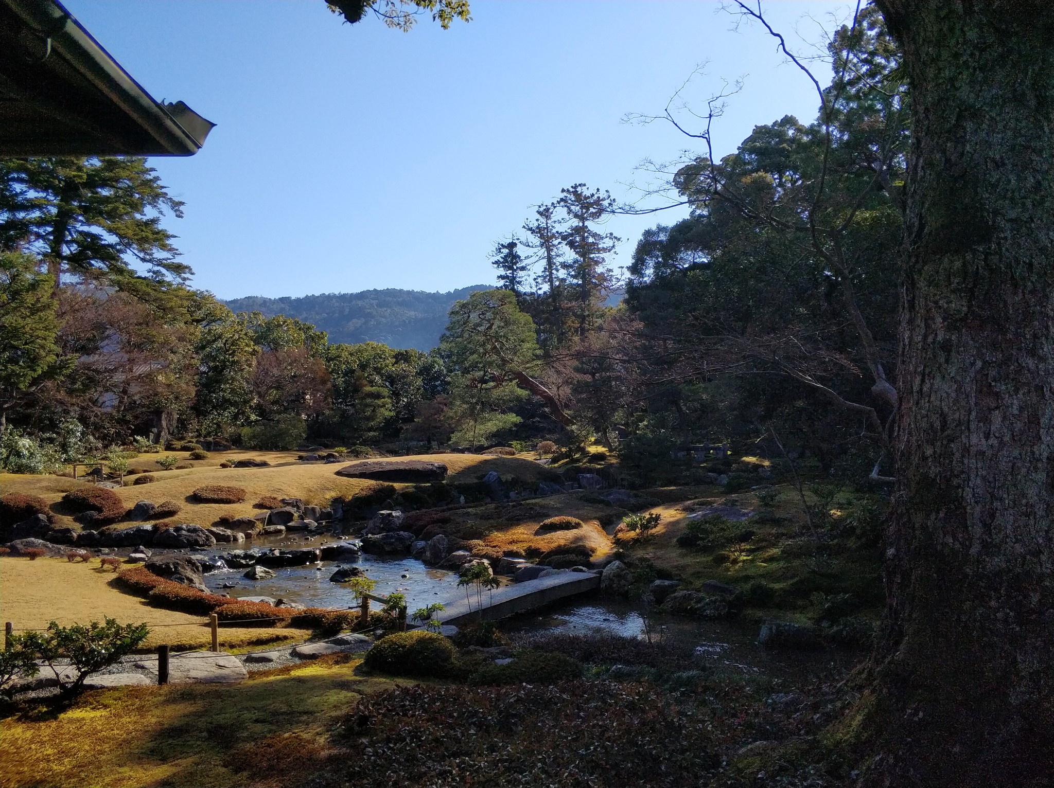 京都自助遊攻略