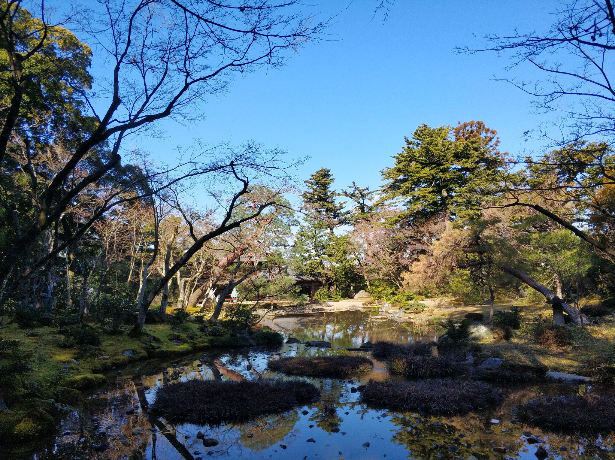 京都自助遊攻略