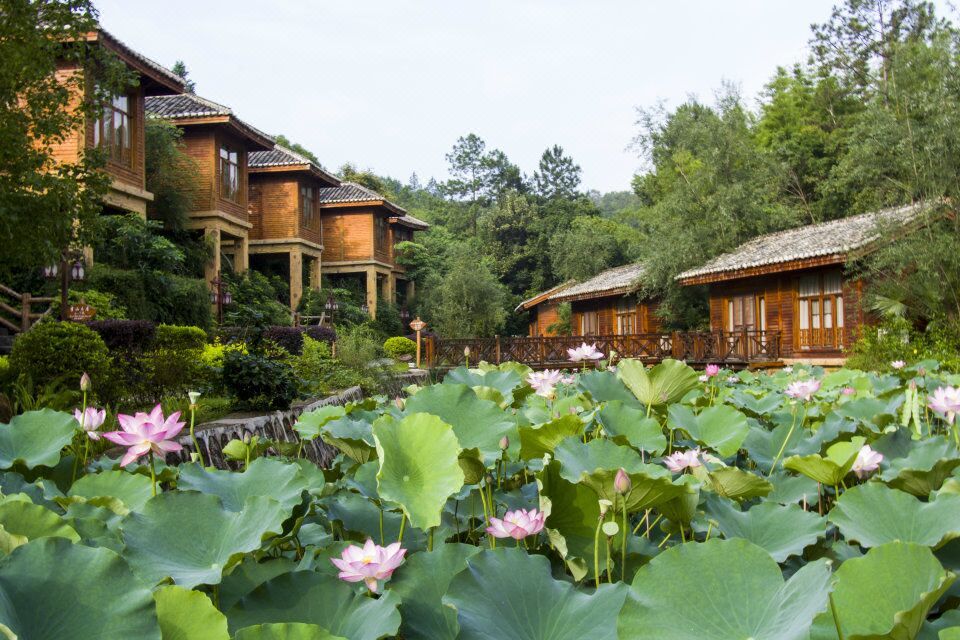 【春节有房】河源叶园温泉度假村酒店2天1晚/早餐/无限次温泉及水上