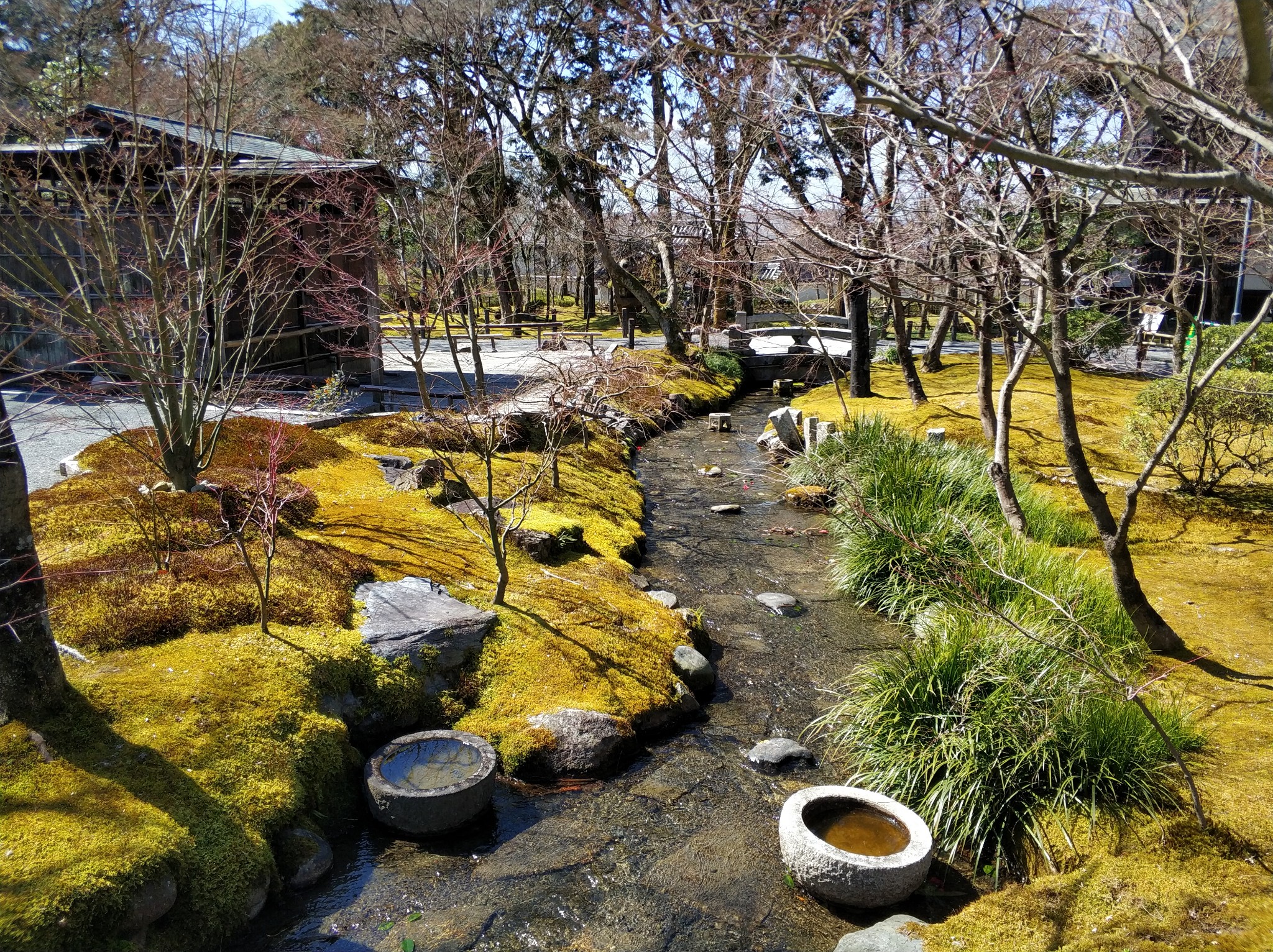 京都自助遊攻略