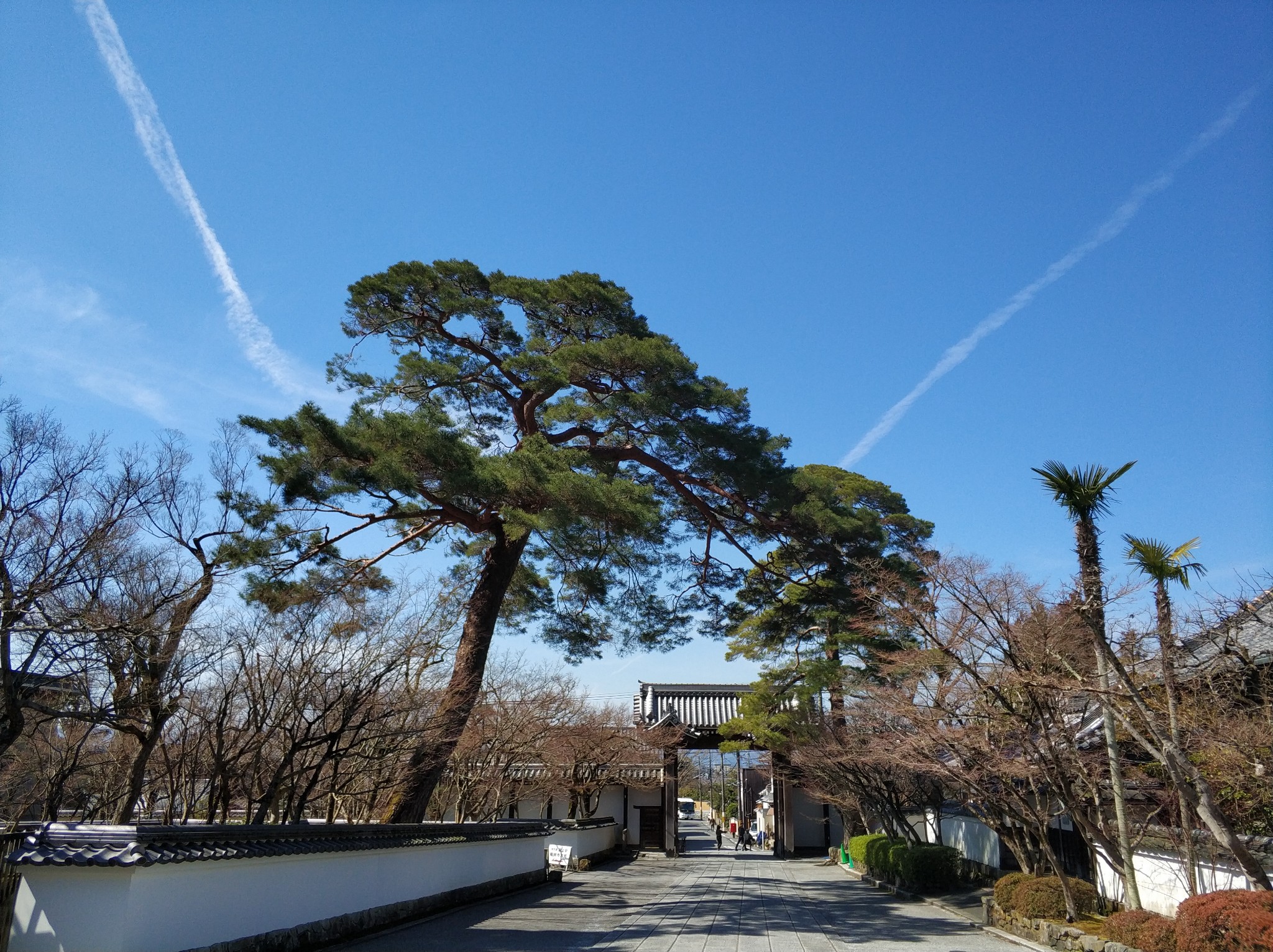 京都自助遊攻略