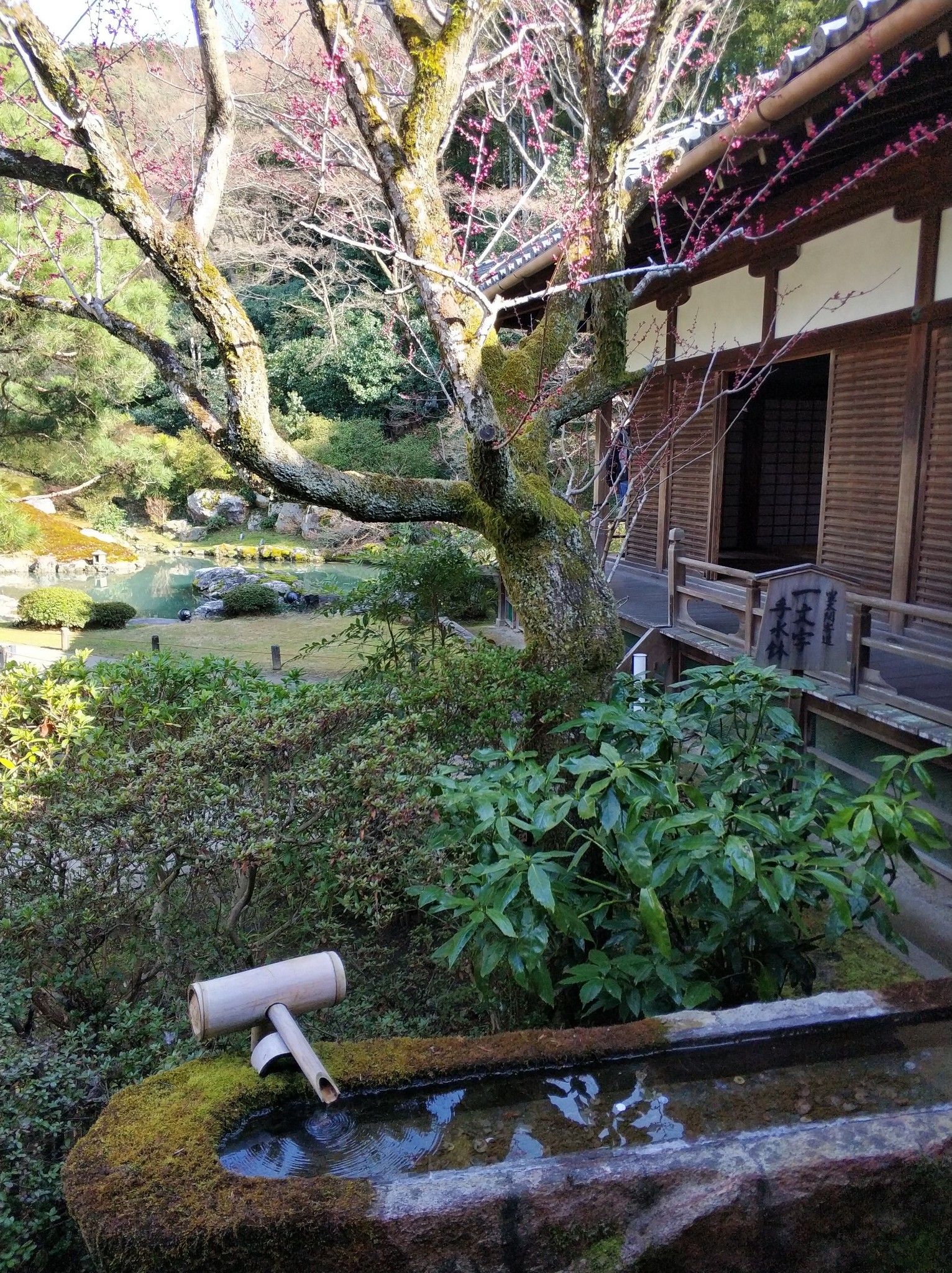 京都自助遊攻略