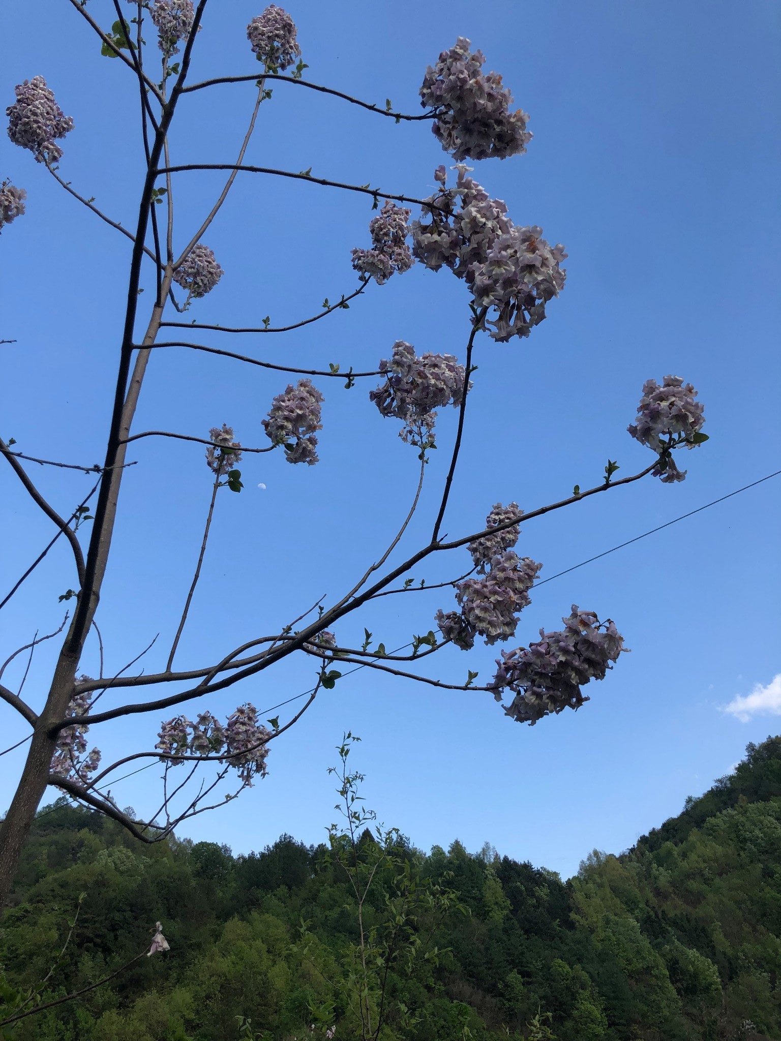 与渔湾一起,撞进有草木香气的春日山风里,中国自助游攻略 - 马蜂窝