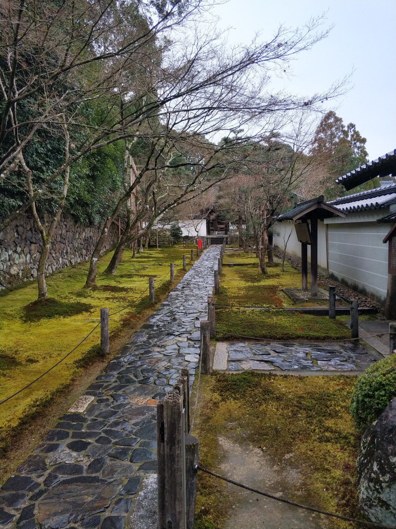 京都自助遊攻略