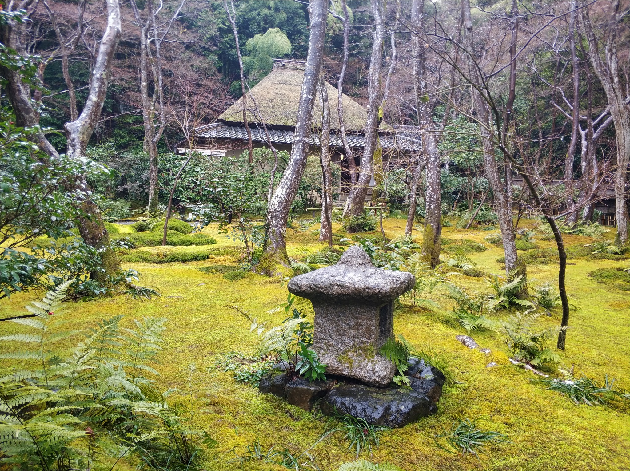 京都自助遊攻略