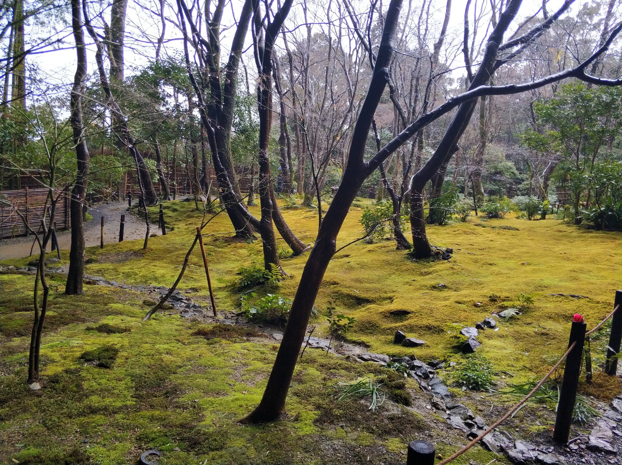 京都自助遊攻略