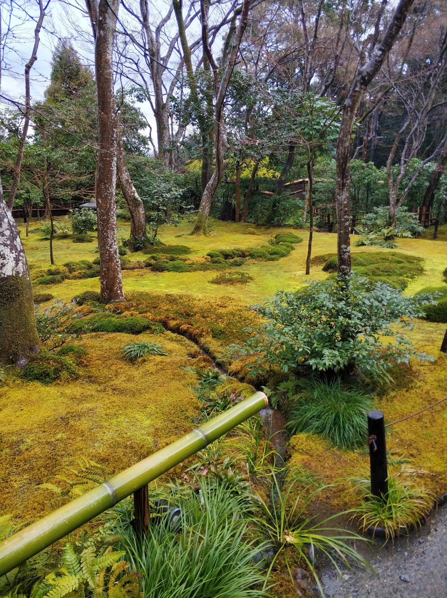 京都自助遊攻略