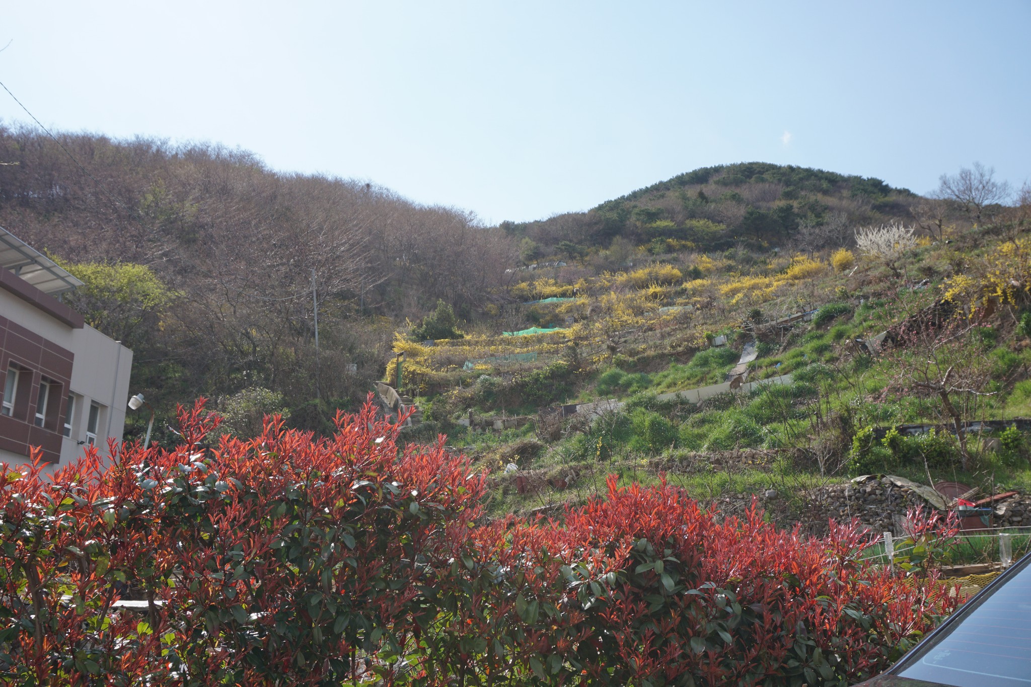 釜山自助遊攻略