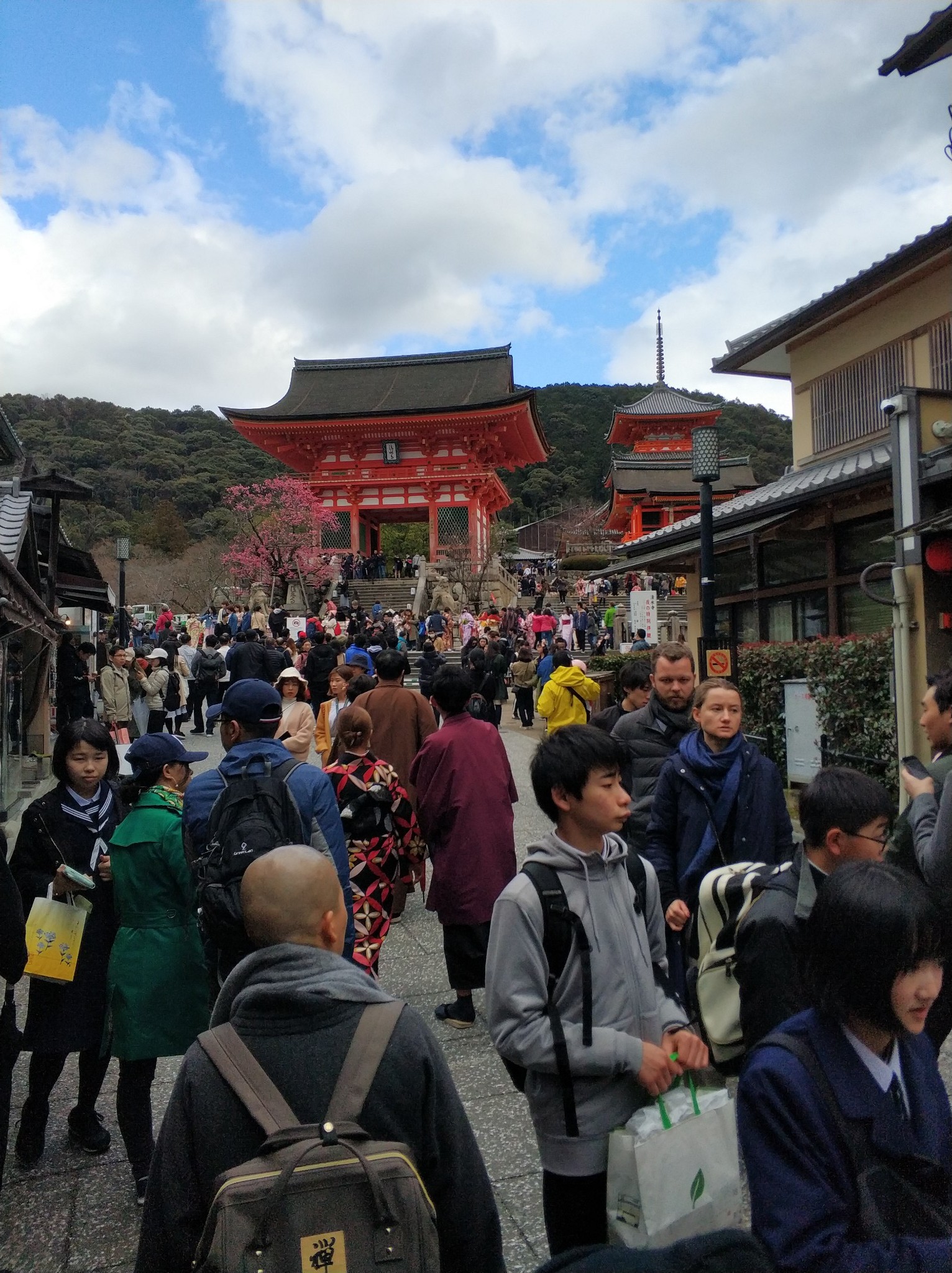 京都自助遊攻略