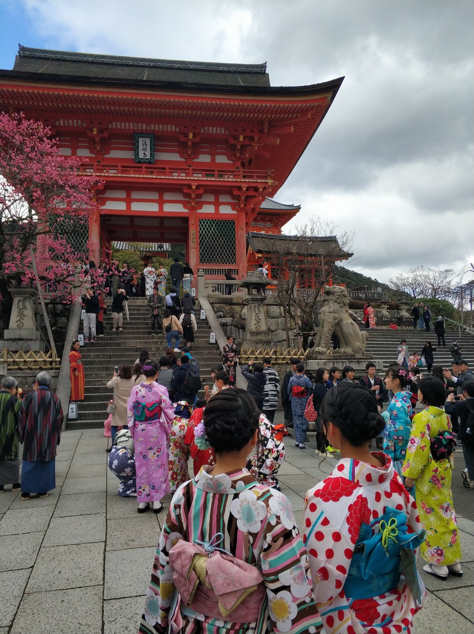 京都自助遊攻略