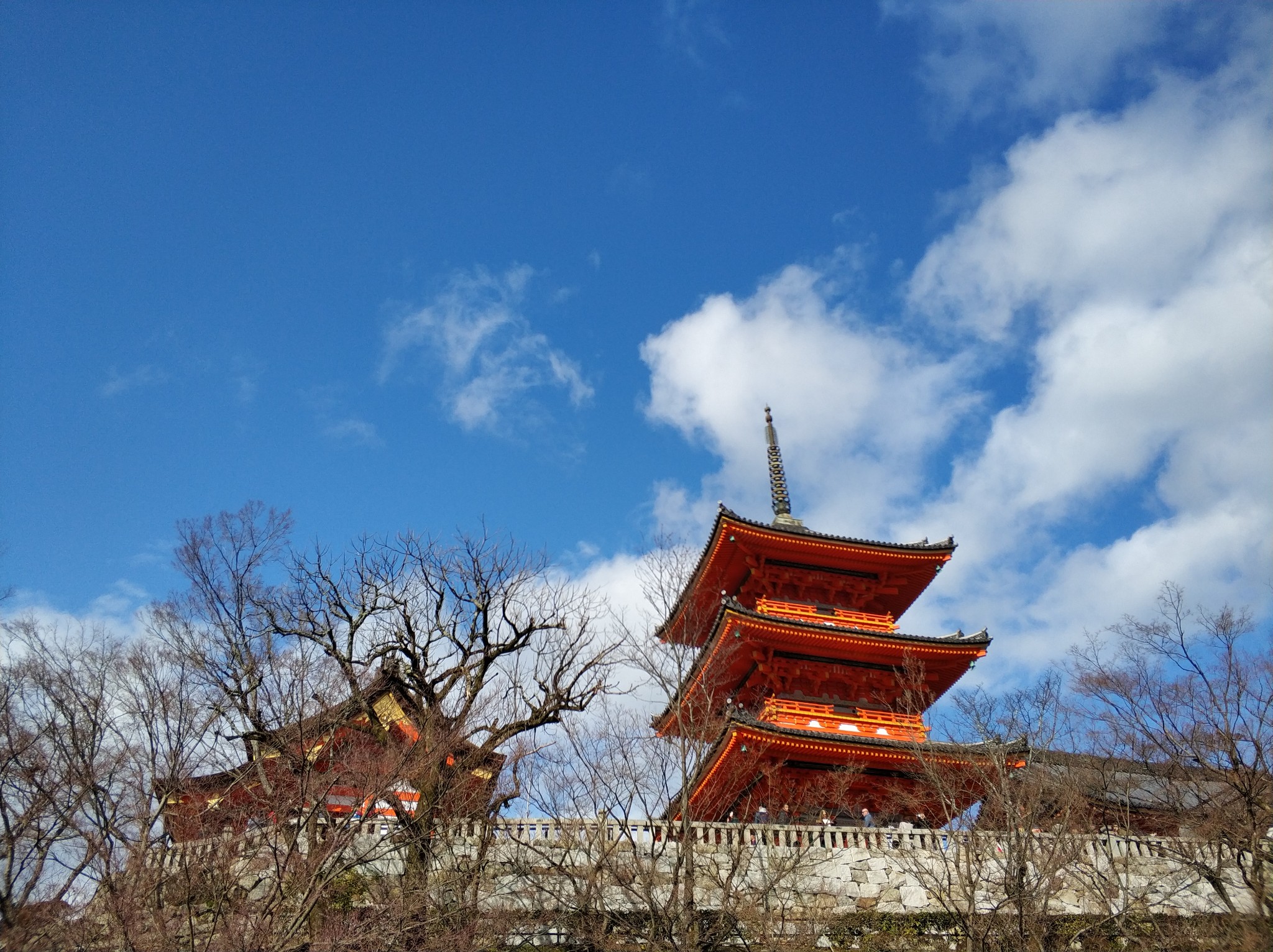 京都自助遊攻略