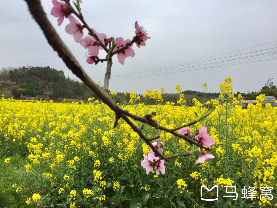 田园水乡风情小镇——春华就在我们身旁。
