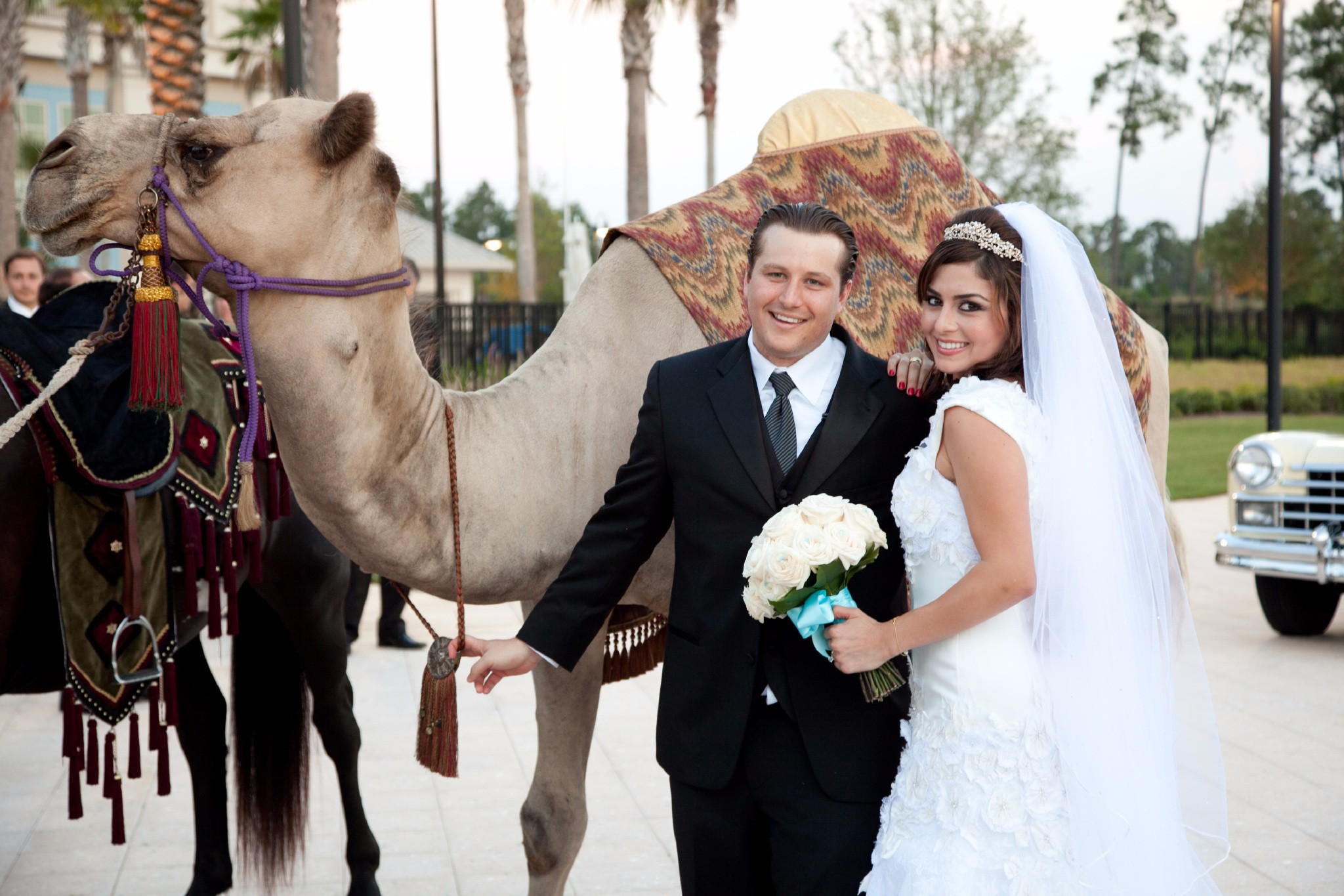 埃及婚礼仪式及图片图片