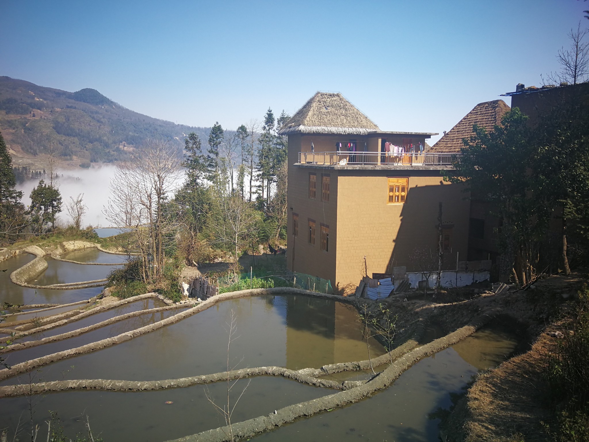 从民宿房间望出去从坝达去往多依树普高老寨民宿入住