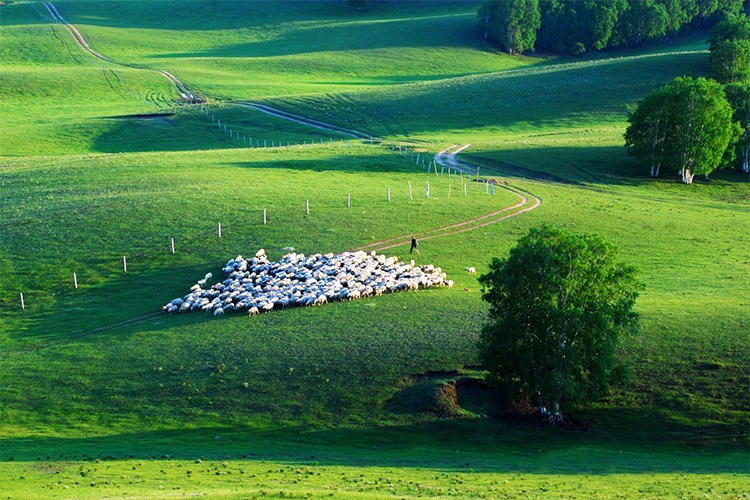 乌兰布统大草原的一年四季