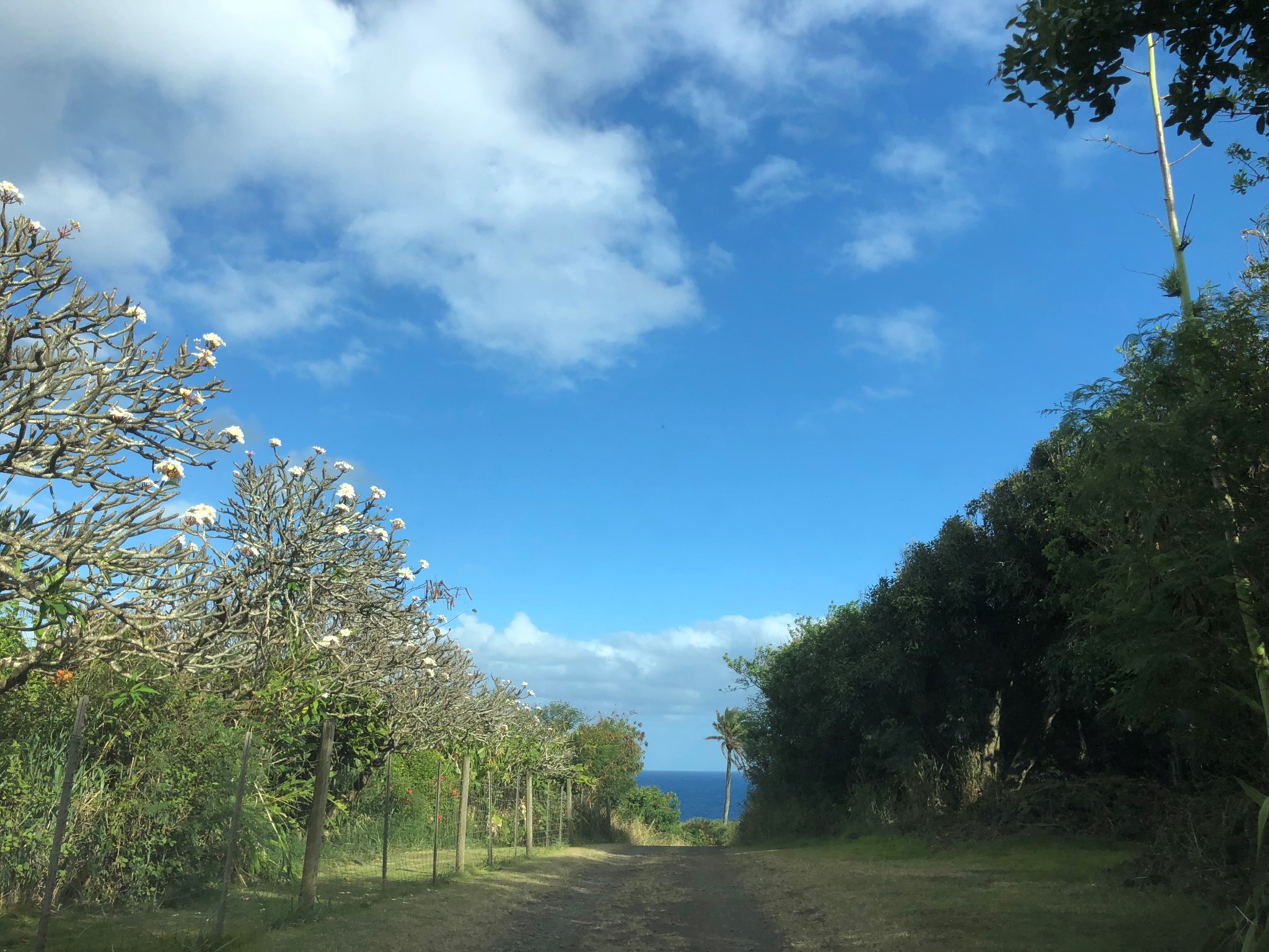 夏威夷自助遊攻略