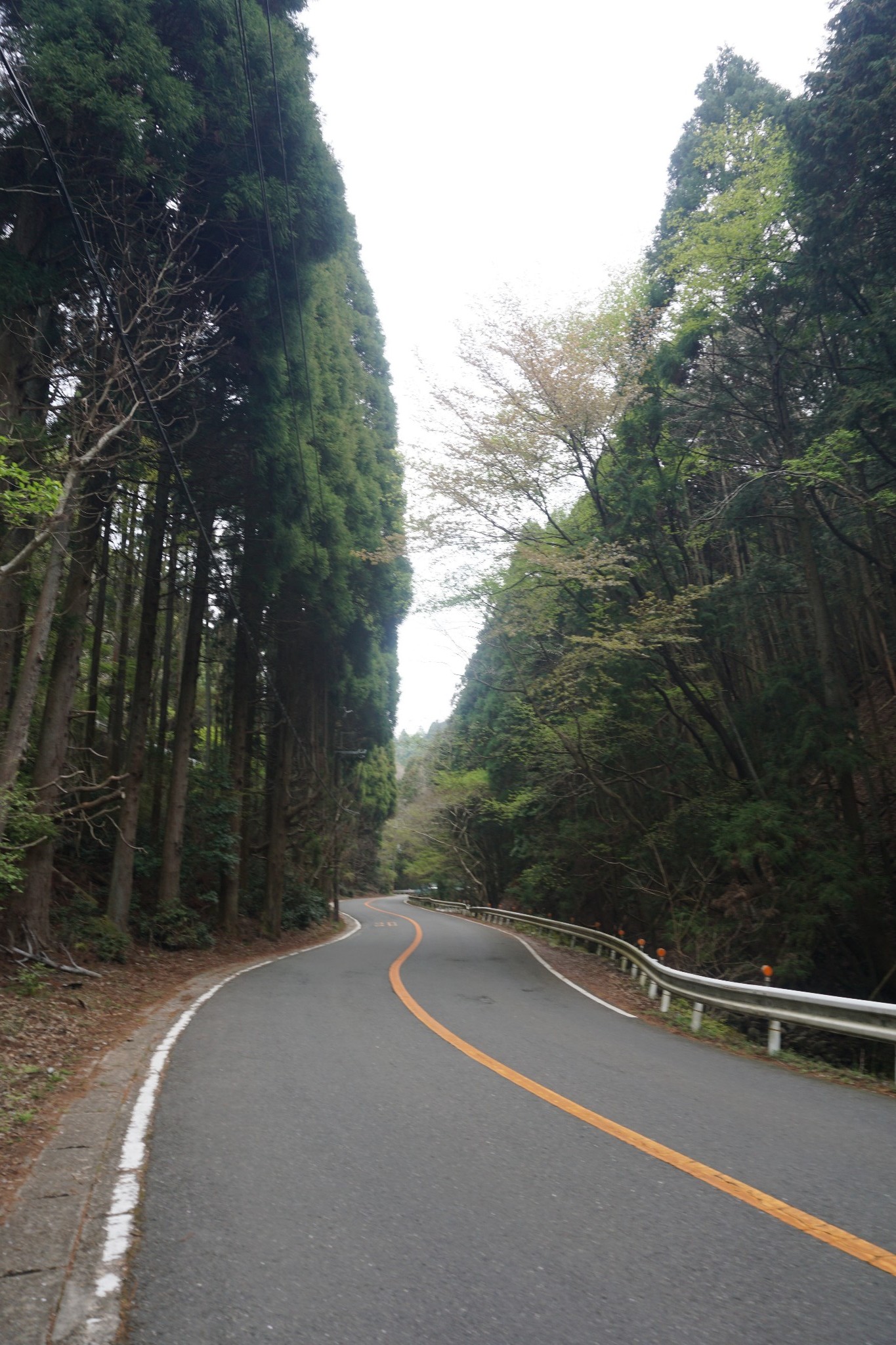 京都自助遊攻略